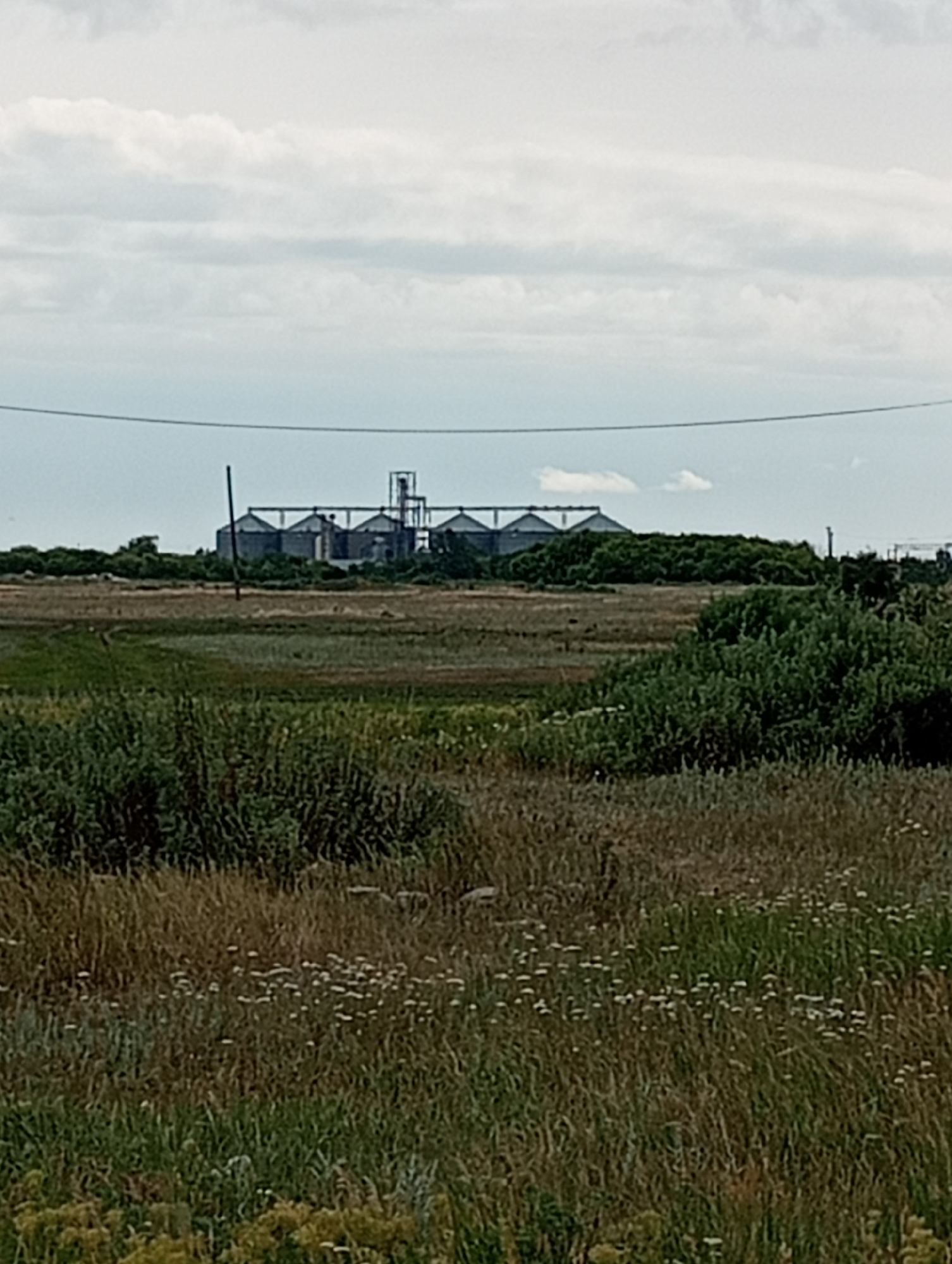 A wide shot captures a rural landscape with a grain elevator facility in the distance. The foreground consists of tall, dry grass interspersed with small white flowers and patches of green brush. In the middle ground, the terrain is flatter and more open, with some tire tracks visible. Beyond this, a dense line of green trees and bushes partially obscures the view of the grain elevator. The grain elevator itself is a cluster of large, conical silos with connecting structures and a tall tower. Power lines stretch horizontally across the frame, just above the grain elevator. The sky is overcast with a mix of white and gray clouds.