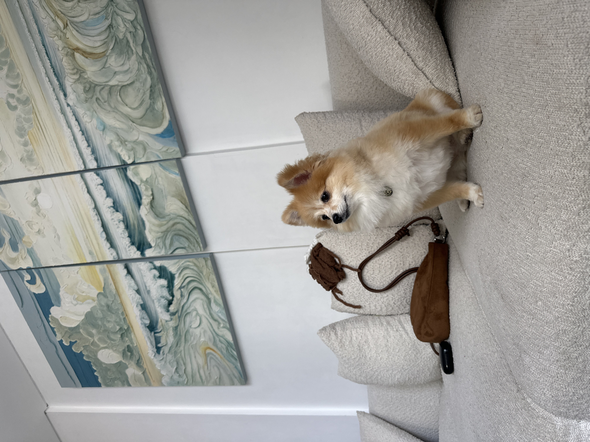 A small, fluffy, tan and white Pomeranian dog sits on a textured, light gray sofa. The dog is facing left, with its head turned slightly towards the viewer. It wears a circular, silver dog tag on a red collar. Next to the dog, on the sofa, is a brown suede pouch with a dark brown braided strap and a small black object. The sofa is adorned with several textured light gray throw pillows. In the background, a triptych painting depicting a turbulent seascape with stylized waves and clouds hangs on a white wall. The overall scene appears to be an indoor setting, possibly a living room. The location provided, North Kuta, Indonesia, is noted.