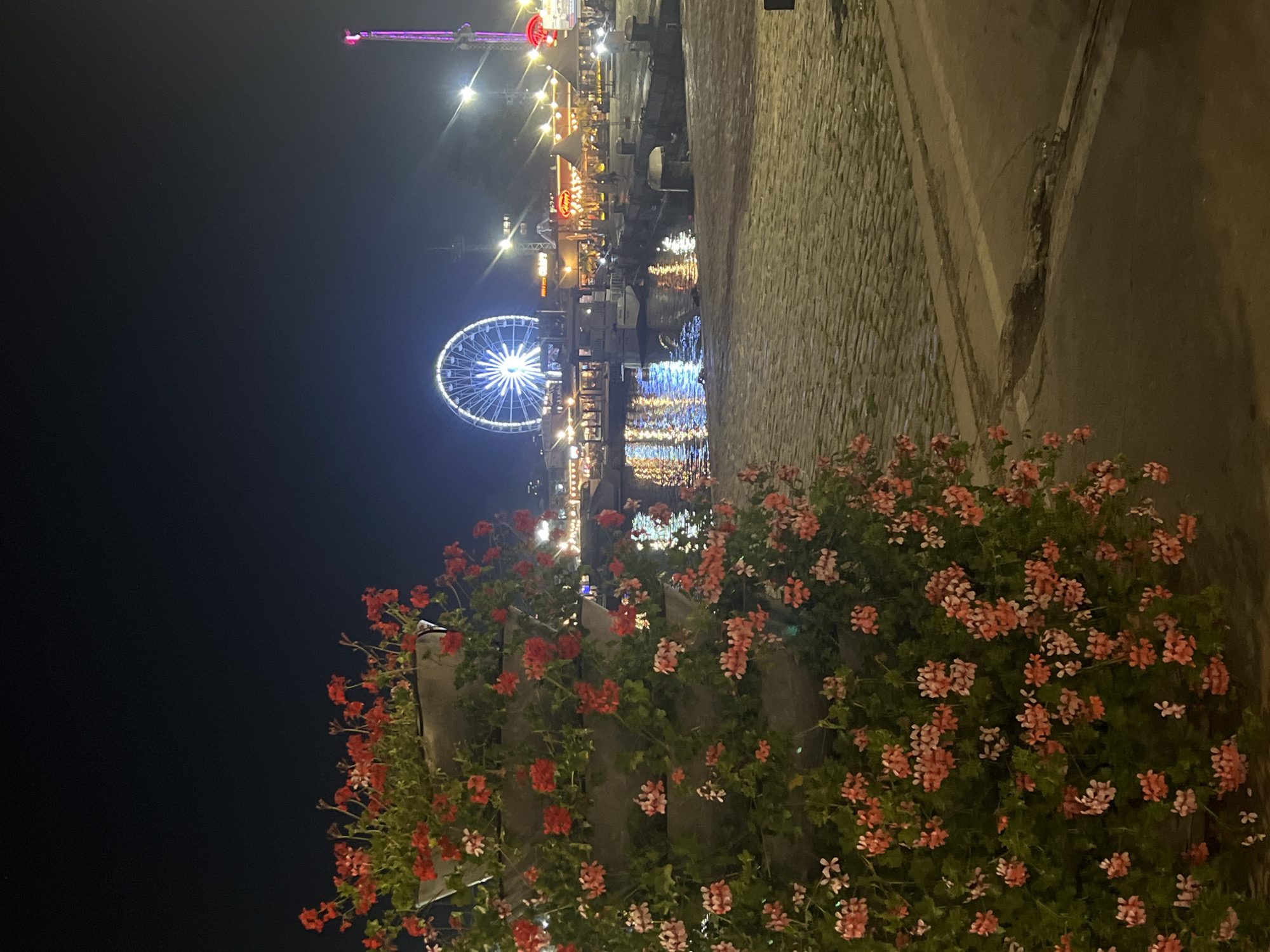 The image captures a vibrant nighttime scene along a waterfront promenade in Varna, Bulgaria. In the foreground, a lush display of red and light pink geraniums blooms profusely, adding a pop of color to the lower right portion of the frame.
To the left of the flowers, a cobblestone walkway or pier is visible, leading towards a body of water—likely a canal or harbor. This water brilliantly reflects the colorful lights from the establishments lining the opposite bank. These buildings, possibly restaurants, shops, or stalls, are brightly illuminated with warm, inviting lights, creating a lively atmosphere. Several boats are moored along the illuminated waterfront.
Dominating the midground and background is a large, brightly lit Ferris wheel, radiating white and blue light against the dark night sky. Further to the left and slightly behind the Ferris wheel, another tall amusement park ride, possibly a drop tower or swing ride, is visible, glowing with purple lights. The sky is dark and clear, indicating a pleasant night. The overall scene suggests a bustling evening of leisure and entertainment. No clearly legible text is visible on any signs or structures.