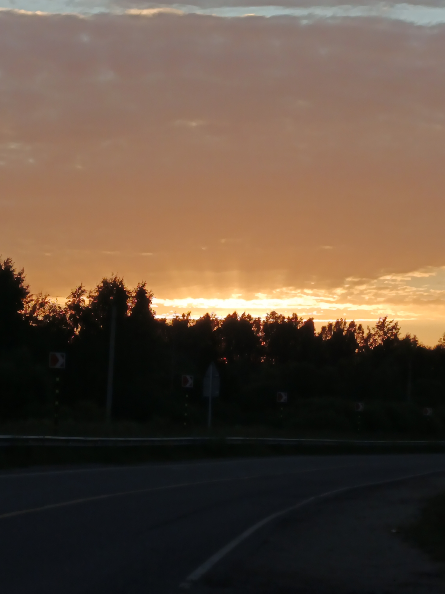A roadside scene is captured during a sunset, with the sky dominated by warm orange and yellow hues, indicating a low sun angle. A line of dark, silhouetted trees forms a dense forest along the horizon, behind which the vibrant sky is visible. The setting sun's rays are breaking through the clouds and foliage, creating streaks of light. In the foreground, a dark asphalt road curves to the right, with white and yellow lane markings visible. A metal guardrail runs along the edge of the road, separating it from the tree line. Several traffic signs, including directional arrows with red borders, are intermittently placed along the roadside. The overall impression is one of a rural or semi-rural setting at dusk.