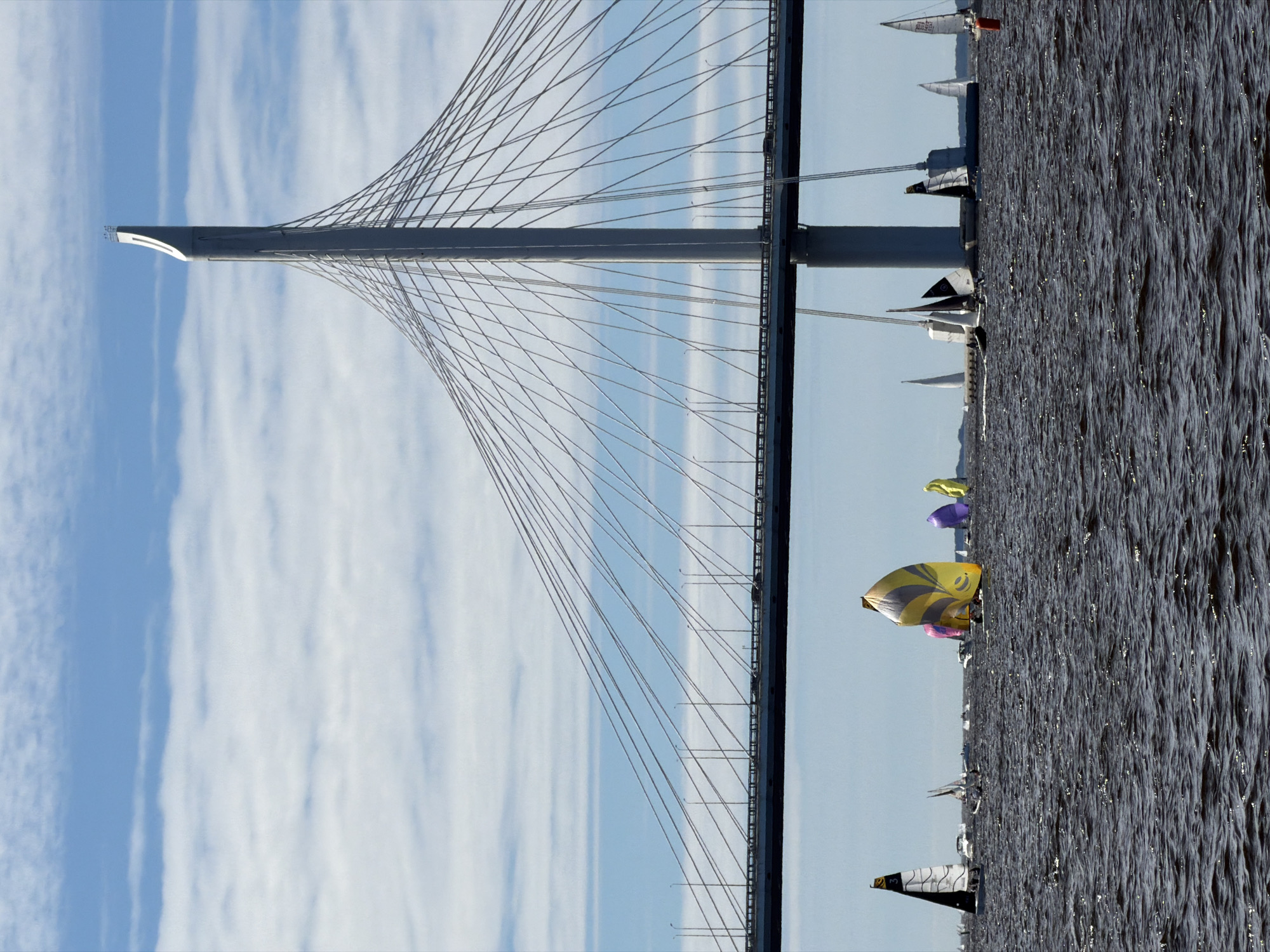 The image depicts a sailing race in the Neva River, Saint Petersburg, Russia, under a partly cloudy blue sky. In the background, the monumental Western High-Speed Diameter bridge dominates the skyline, with its distinctive pylon and suspension cables stretching across the frame. Several sailboats, with colorful sails including yellow, purple, and black and white patterns, are actively participating in the race, navigating the choppy, dark water. Some boats are closer to the foreground, showcasing their sails and hulls, while others are further in the distance, forming a scattered fleet. The scene captures a dynamic moment of maritime activity against the backdrop of St. Petersburg's modern infrastructure.