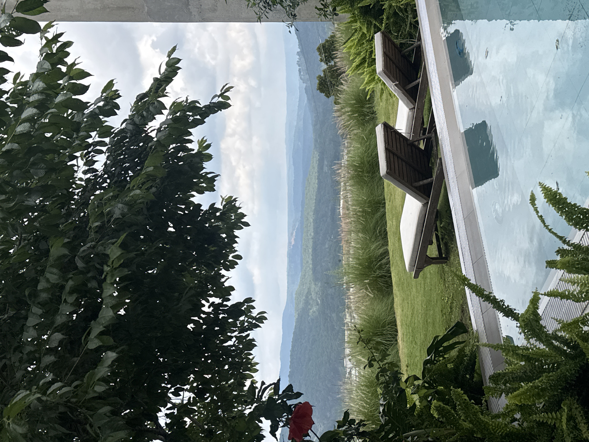 This is a vertical, eye-level, medium shot of a resort scene in Da Loc, Vietnam. In the foreground, a swimming pool with a light blue, rippling surface occupies the bottom third of the frame. The pool has a gray tiled edge. To the left of the pool, lush green ferns and other foliage are visible, with a single large red flower on a branch hanging into the scene from the upper left. Behind the pool and foliage is a manicured green lawn. Two empty, wooden lounge chairs with beige cushions are positioned on the lawn, facing the distant landscape. Beyond the lawn, tall, wispy grasses and some shorter, manicured green bushes are present. The middle ground features a panoramic view of rolling, tree-covered hills under a cloudy sky. The sky is a muted blue with scattered white clouds. The overall impression is one of tranquility and a luxurious outdoor setting.