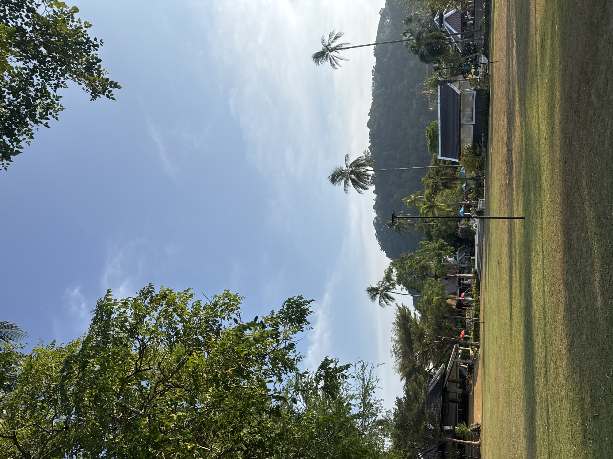 The image displays a serene outdoor landscape, characteristic of a tropical resort or park in Patong, Thailand. The scene is primarily composed of natural elements and low-rise buildings under a clear sky.
In the foreground, a vibrant green, well-maintained grass lawn occupies the lower half of the frame, stretching towards the middle-right. On the left side of the image, the dense, leafy canopy of a large tree fills the upper left corner, its branches and foliage silhouetted against the bright sky.
Across the midground, nestled amidst the greenery, are several buildings with dark, sloped roofs and light-colored walls, some featuring traditional architectural designs. Various trees, including tall palm trees with their distinctive fronds and other lush, broad-leaved trees, are interspersed throughout the area. Small blue and red umbrellas are visible near some structures, hinting at leisure or dining spots. Several black poles are scattered across the grassy expanse.
The background is dominated by a large, verdant mountain or hill, thickly covered with trees and foliage, rising behind the buildings and extending across the upper right portion of the image. Above the mountain, the sky is a bright, clear blue with a few sparse, wispy white clouds, indicating sunny weather.
The time of day appears to be mid-day, with ample sunlight illuminating the scene. No people or visible text are present, suggesting a quiet, tranquil atmosphere. The combination of tropical vegetation, traditional architecture, and a mountainous backdrop strongly aligns with the specified location of Patong, Thailand.