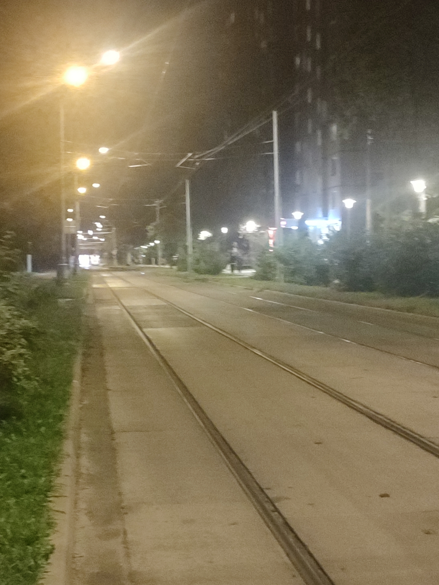 The image depicts a nighttime view of a city street with tram tracks. Streetlights illuminate the scene, casting a yellowish glow. The tram tracks run parallel down the center of the road. On the left side of the image, there is a grassy area and some foliage, followed by a sidewalk and then the tram tracks. On the right side, there is a road surface, tram tracks, and a building in the background. The building appears to be a multi-story structure with windows visible. There are trees and bushes lining the street. The overall impression is of an urban environment at night, likely a residential or commercial area.