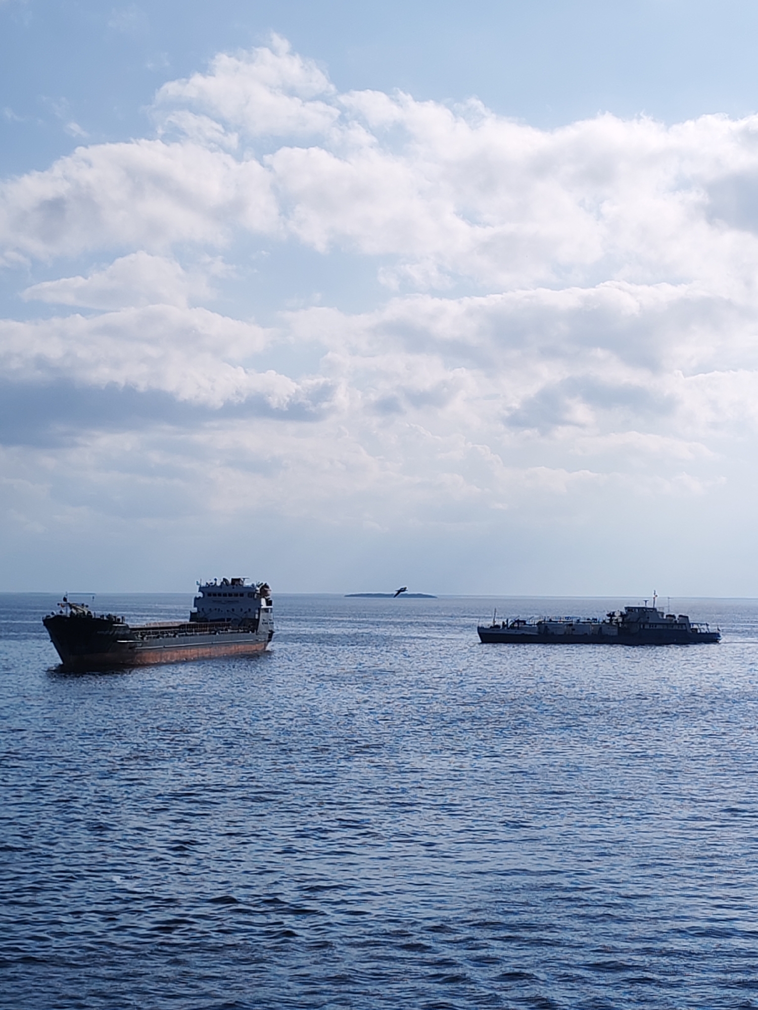 The image shows two cargo ships on the open water, with a small island in the distance. The sky is filled with white and gray clouds. There is no evidence to suggest this photo was taken in Mologa, Russia.
