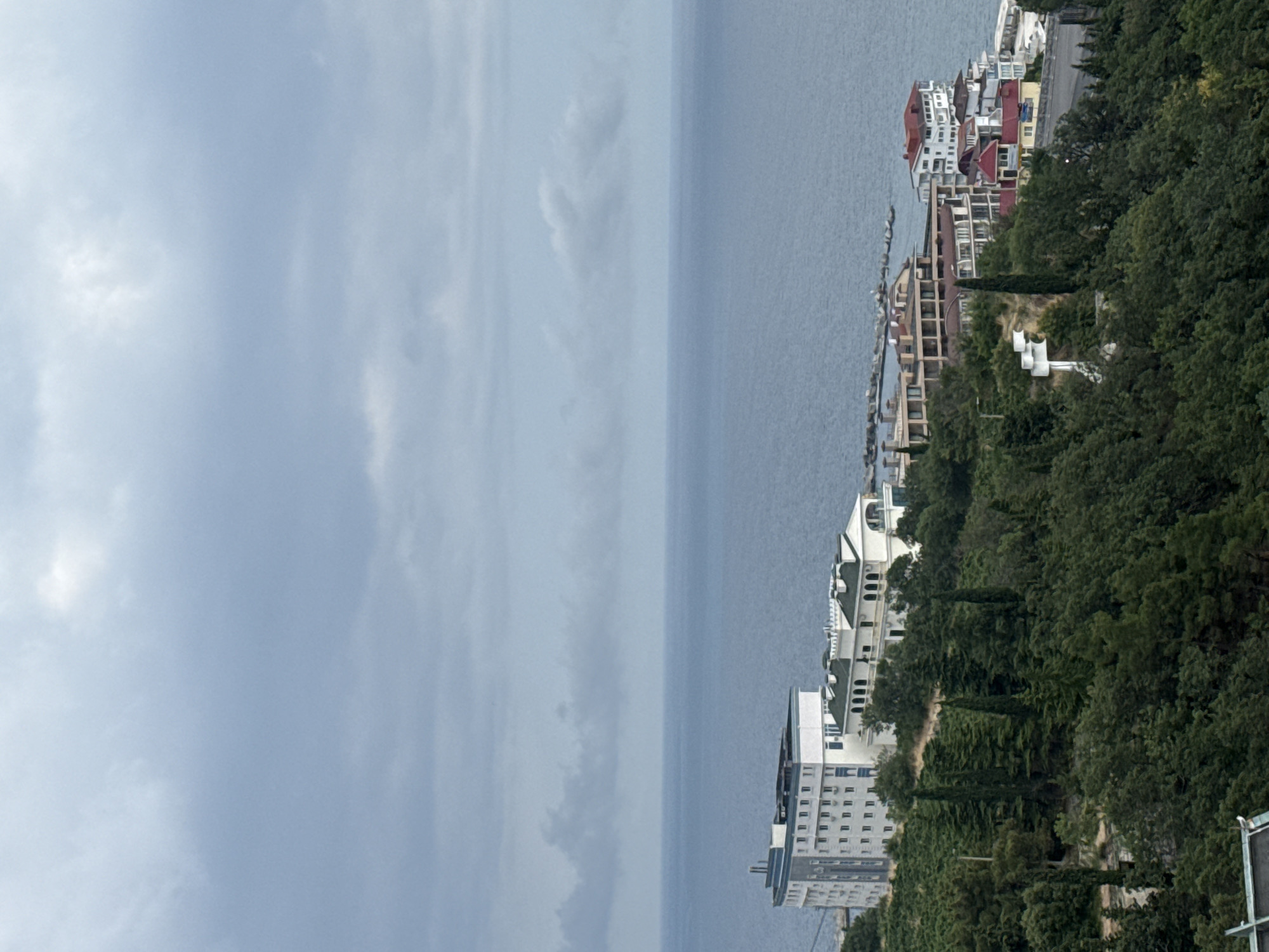 An aerial, high-angle, full shot captures a coastal city with buildings nestled into a lush green hillside overlooking a calm, blue sea under a cloudy sky. The architecture is a mix of modern and traditional styles, with several multi-story buildings and smaller structures with red and white roofs. The extensive greenery suggests a well-vegetated area, possibly a park or natural reserve, interspersed with the urban development. The sea stretches to the horizon, with a faint suggestion of a rocky shoreline or breakwater in the distance. The overall mood is tranquil and overcast, hinting at a cooler, possibly humid, climate.