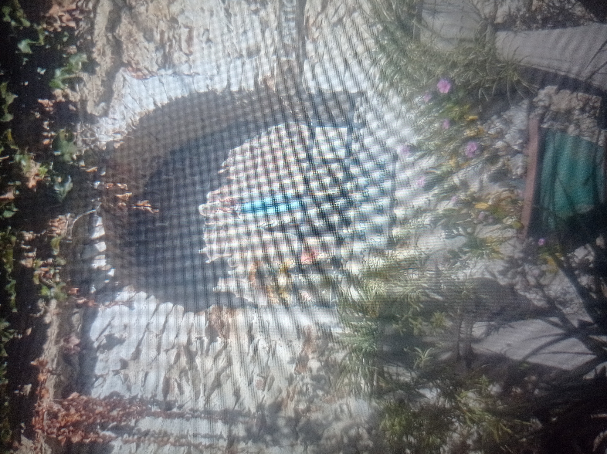The image depicts an outdoor shrine integrated into a stone wall. At the center of the shrine is a statue of the Virgin Mary holding the infant Jesus. The statue is positioned within a small arched niche. In front of the statue, there is a white sign with text that is partially obscured but appears to read "Ave Maria / L'Uxi del mondo." To the right of the shrine, there is another sign with text that reads "L'ANTIC." The shrine is surrounded by potted plants, some of which have pink flowers. The stone wall is covered in ivy and other greenery. The overall setting suggests a religious or historical site. The provided crops offer closer views of the stone wall, the statue, and the surrounding vegetation. Without additional information or context, it is impossible to definitively confirm the location as Mukachevo, Ukraine.