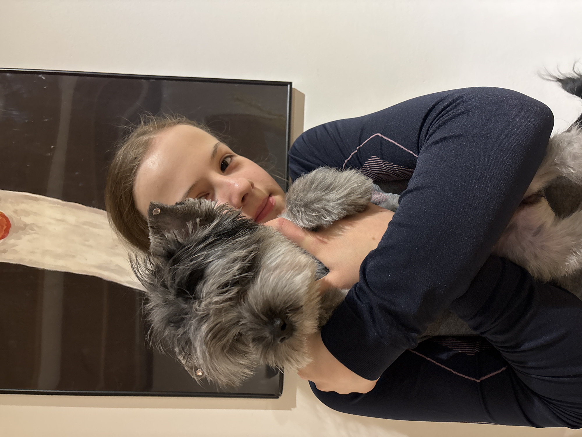 A woman is holding a gray Schnauzer dog. The woman is wearing a dark blue long-sleeved shirt with pink accents. The dog is nestled in her arms, its head close to her face. Behind them is a framed picture with a black frame and what appears to be an abstract image inside. The location appears to be an indoor space. There is nothing in the scene to indicate that this image was taken in Chaikovsky, Russia.