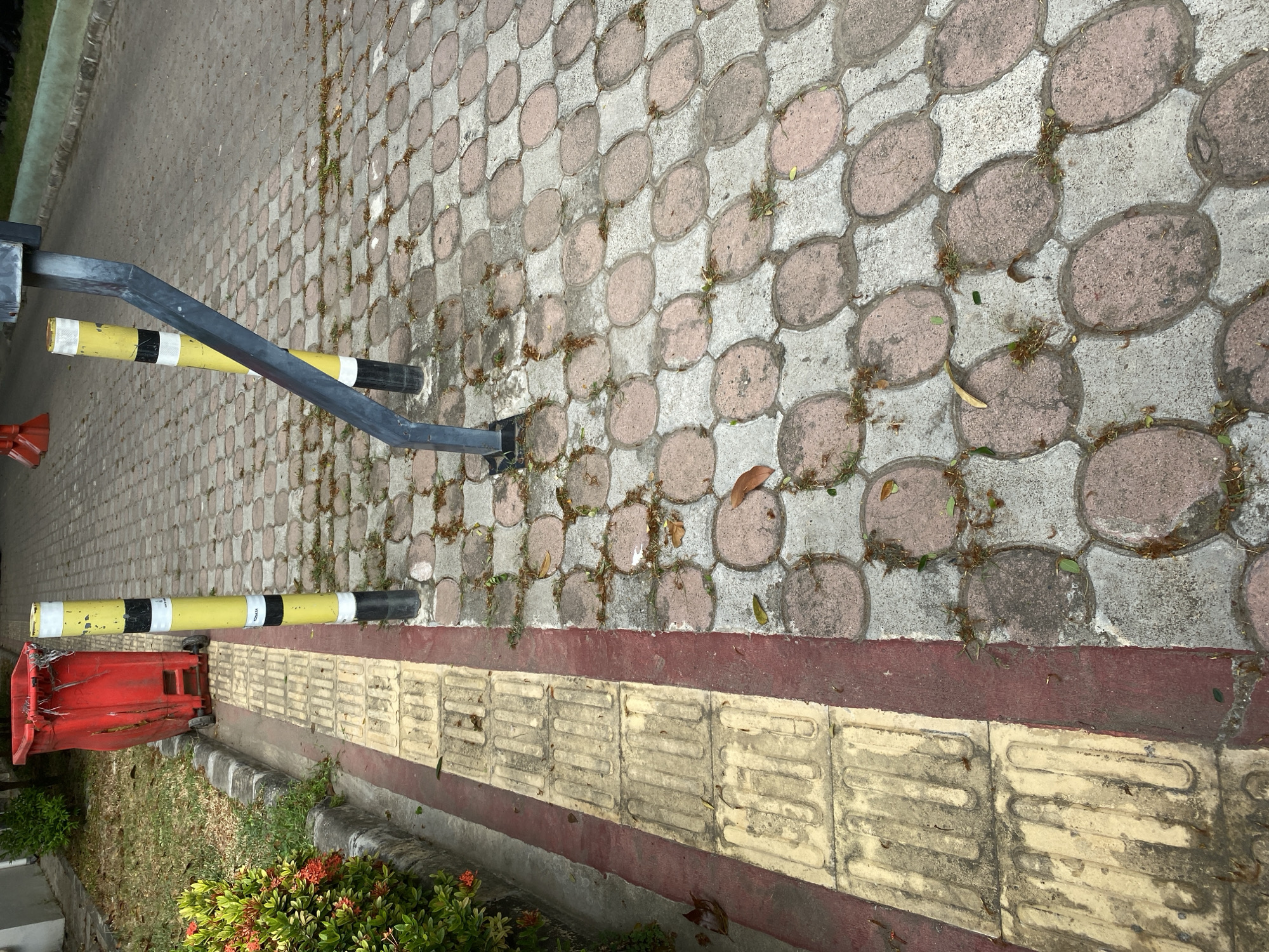 A high-angle, eye-level outdoor shot shows a paved walkway in the city of Unknown, Unknown. The walkway is lined with a strip of red concrete and a tactile paving surface made of yellow, raised-patterned concrete squares, intended for visually impaired pedestrians. Beyond the red strip is a section of the walkway paved with interlocking oval-shaped concrete tiles, some with pinkish-red centers and gray borders. Scattered on the walkway are fallen leaves and small bits of debris.
To the left of the walkway is a green grassy area bordered by a concrete curb. A large, weathered red plastic trash bin with wheels is situated on the grass next to the tactile paving. In the foreground on the left are blooming red flowers on a bush.
Two vertical yellow bollards with black and white stripes stand on the walkway. One bollard is closer to the red trash bin. A dark metal pole, bent at an angle, is attached to the ground near the second bollard and extends upwards and towards the right of the frame. A second, shorter red and white bollard is visible in the distance. The ground surface is wet in some areas, suggesting recent rain.