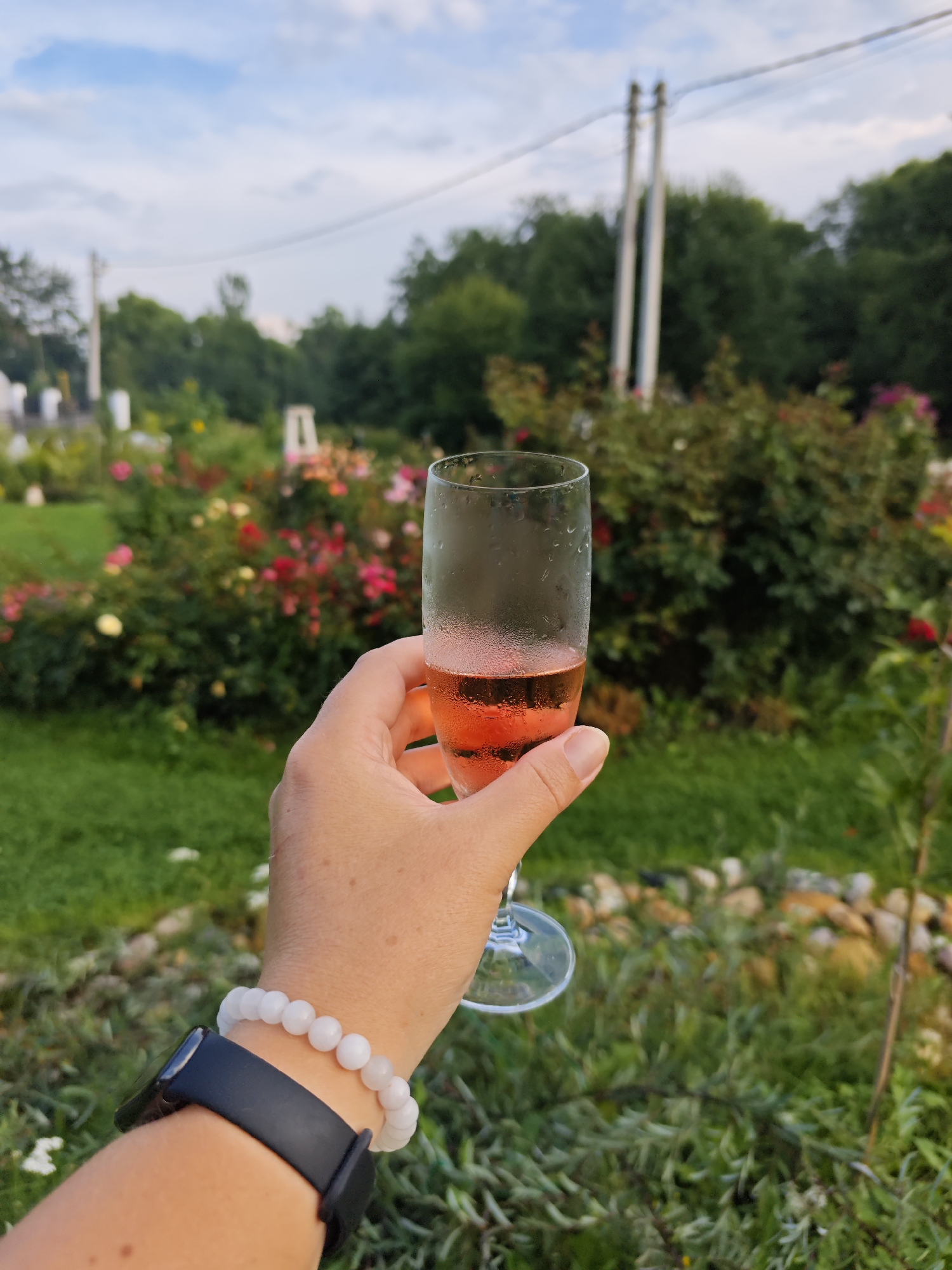 A close-up, eye-level shot shows a person's hand holding a champagne flute filled with pink champagne outdoors in a garden setting with roses in bloom. The person is wearing a black smartwatch and a white beaded bracelet on their left wrist. The background is a blur of green grass, rose bushes, trees, and a cloudy sky. The location is described as Podosinki, Russia.