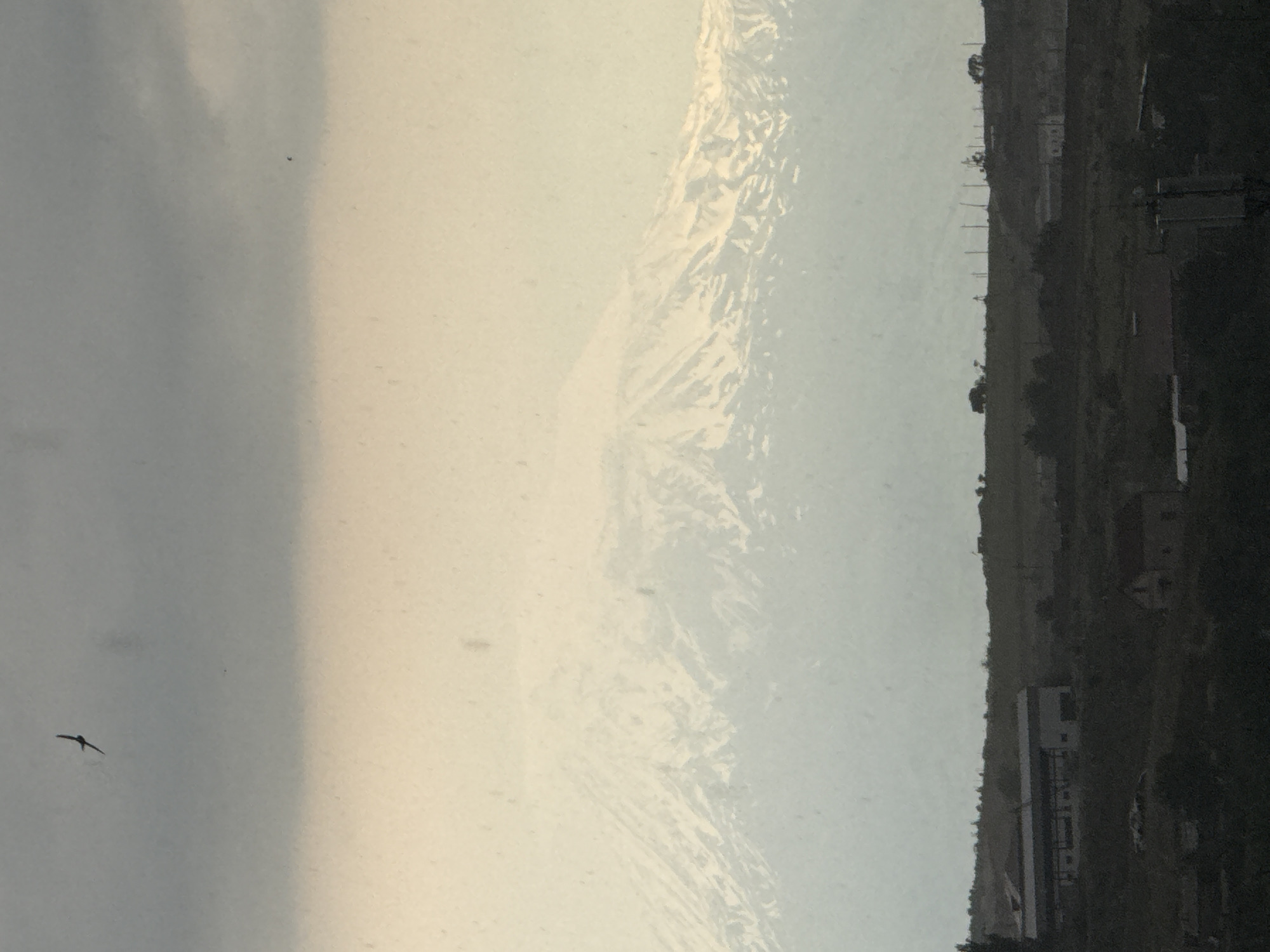 The image shows a scenic view of a hillside landscape, likely from a window. The scene is divided vertically, with the left side dominated by a hazy, overcast sky with subtle cloud formations. In the sky, a solitary bird is captured mid-flight, silhouetted against the lighter sky.
The right side of the image presents a darker, more detailed view of a sloped terrain. This hillside is dotted with buildings, some appearing to be houses or small structures, and a larger, more modern-looking building with multiple windows and a distinct entrance. The terrain is covered in vegetation, appearing as a mix of grass and scattered trees. There are also visible power lines or telephone poles stretching along the hillside, indicating some level of infrastructure. The overall impression is of a rural or semi-rural setting on the outskirts of a settlement.
The lighting suggests it could be daytime, possibly late afternoon or early morning, given the soft, diffused light and the overcast sky. The weather appears to be cloudy, contributing to the hazy and somewhat muted colors in the sky. The orientation of the image is such that the hillside is seen from a slightly elevated perspective, and the overall scene is rich in natural textures and man-made structures integrated into the landscape. There is no visible text within the image.
