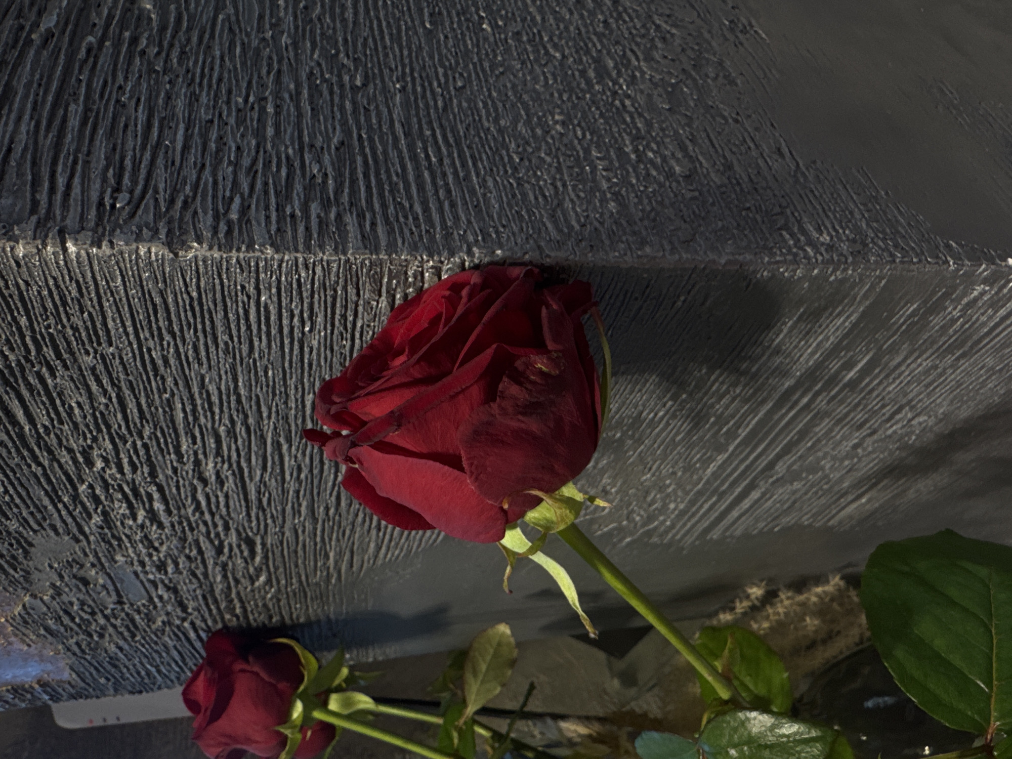 A red rose is displayed against a textured, gray, wall-like structure. The scene includes additional green leaves and stems, suggesting the rose is part of a larger floral arrangement.