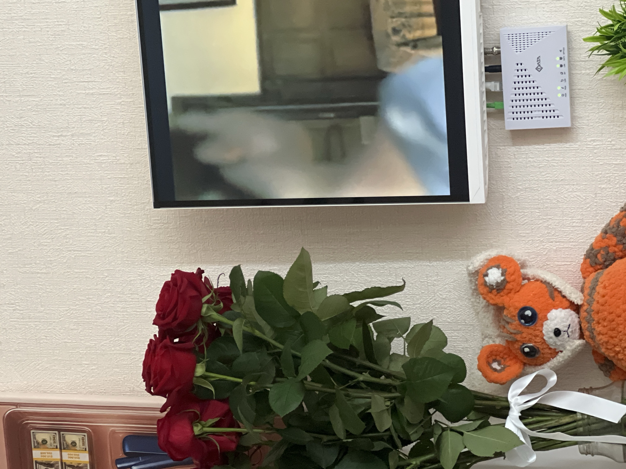 A bouquet of red roses in a vase with a white ribbon is placed next to a crocheted tiger stuffed animal. A flat-screen television is mounted on a textured wall above a white internet modem with green, white, and black cables plugged into it. The television displays a blurry image of a person. To the left of the roses, a pink holder contains stacks of fake dollar bills. A potted green plant is visible in the lower right corner.