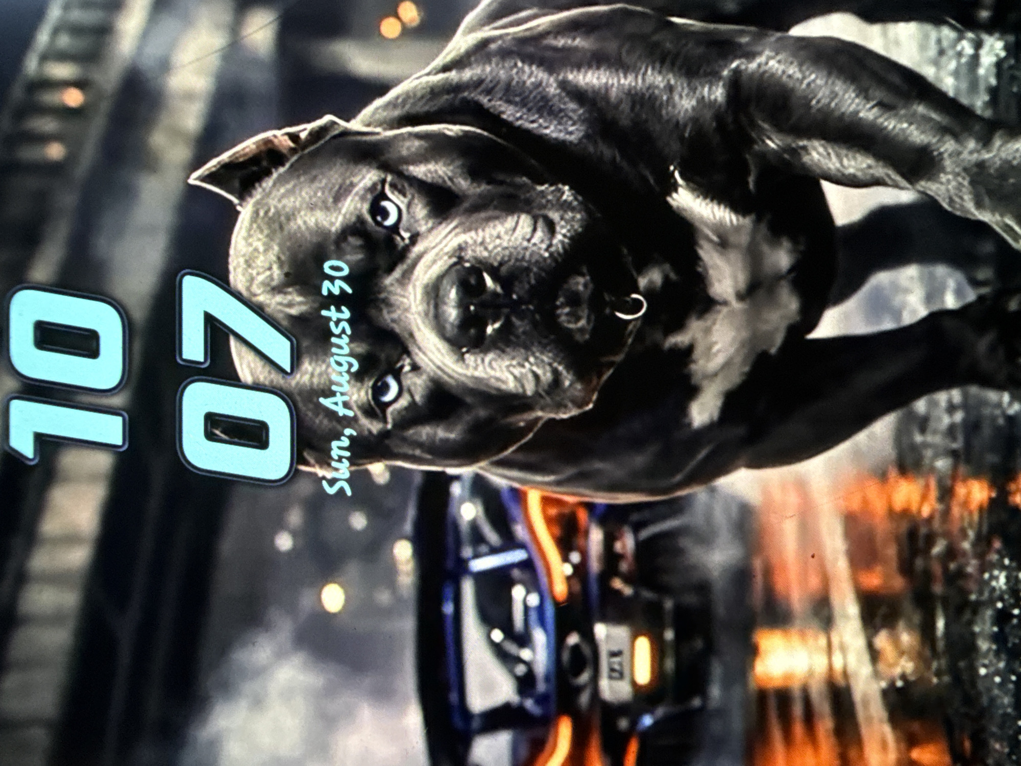 The image is a close-up, low-angle shot of a muscular dark gray American Bully dog with striking blue eyes. The dog is in the foreground, positioned to the right, facing directly towards the viewer with its head slightly tilted. Its body is tense, with muscles clearly defined, and it appears to be in motion. The dog is wearing a collar with a silver ring.
In the background, a blurred image of a futuristic-looking sports car with orange and blue accents is visible. The car is parked on a wet, reflective surface, likely a street or road, with orange and yellow lights from the car and surrounding environment casting reflections. The overall atmosphere suggests a nighttime or low-light setting, possibly in an urban environment with steam or fog contributing to the haze. The scene is set against a dark, out-of-focus background with hints of blurred lights.
The image also displays two lines of text at the top. The top line reads "10" in large, light blue numbers with a dark outline. Below that, "07" is similarly displayed. Beneath the dog's head, in a smaller, cursive, light blue font, it reads "Sun, August 30".
The image does not contain any specific geographical markers that would place it in Uyo, Nigeria.