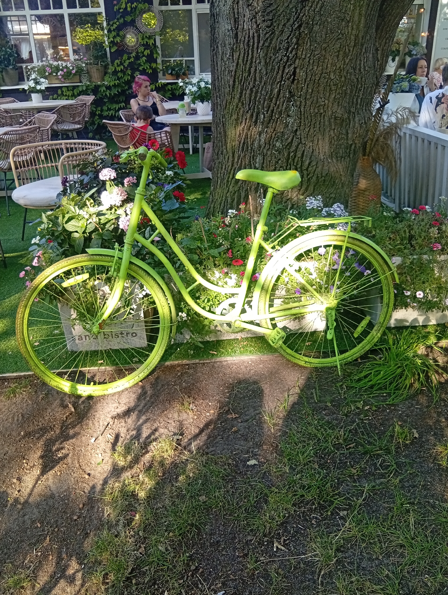An outdoor scene at the "Ana Bistro" restaurant in Sopot, Poland, features a vintage bright green bicycle as a decorative element. The bicycle is positioned in front of a large tree and a flower bed. A woman with pink hair and a child are seated at a table in the background, near the restaurant's windows. The area is furnished with wicker chairs and tables. The ground consists of grass and dirt.