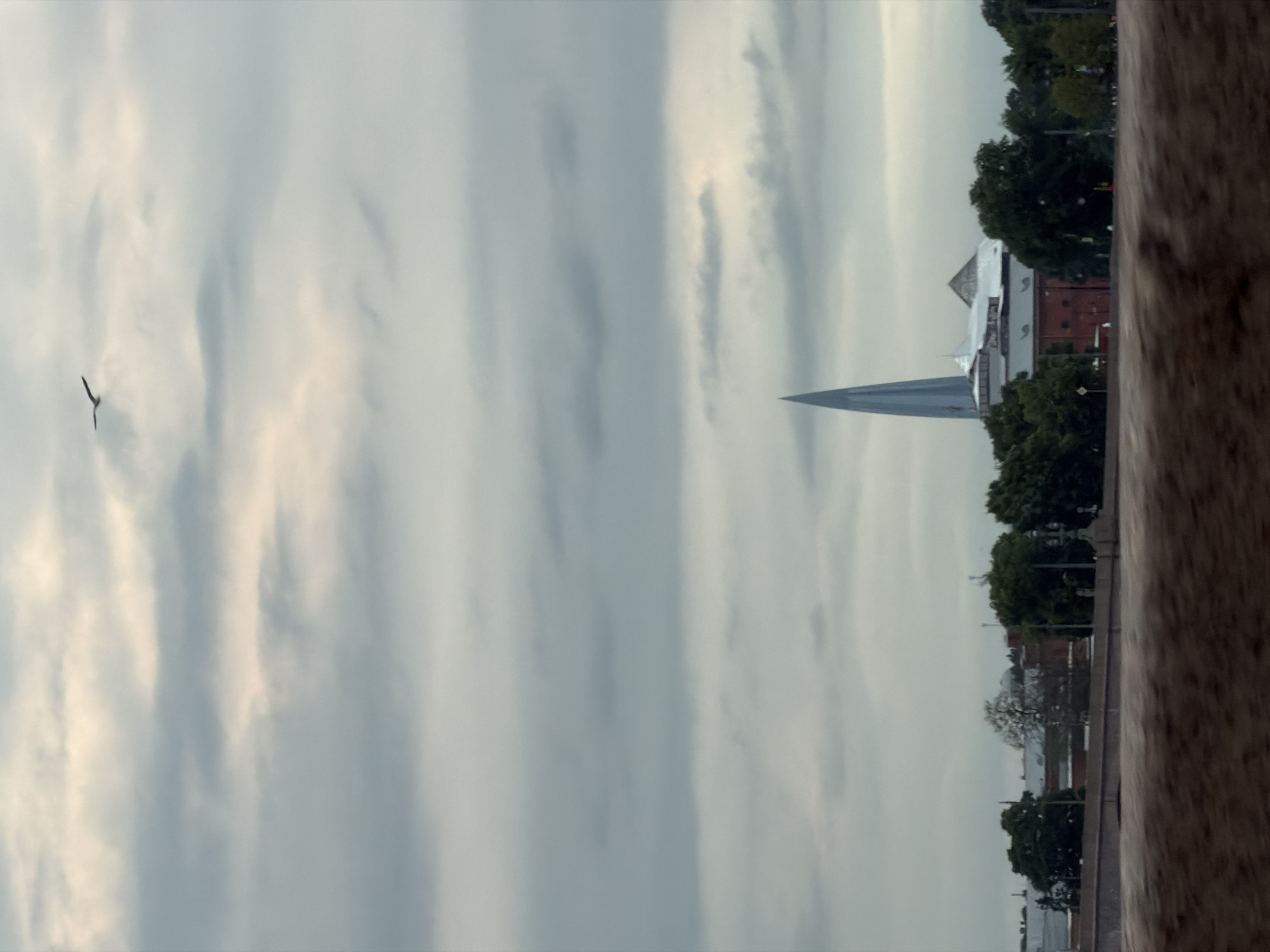 The image shows a view of a city skyline under a cloudy sky. A slender, pointed tower with a light blue facade dominates the center-right of the frame, piercing through the overcast sky. In front of the tower, there are several brick buildings with white roofs and some trees. To the left of the tower, a seagull is captured in flight against the lighter parts of the clouds. The foreground is obscured by a blurred, brown, textured area, suggesting the image was taken from a moving vehicle or a similar vantage point. The overall mood is subdued, likely due to the overcast weather. The distinct architecture of the tower suggests a modern or unique building, possibly in an urban setting.