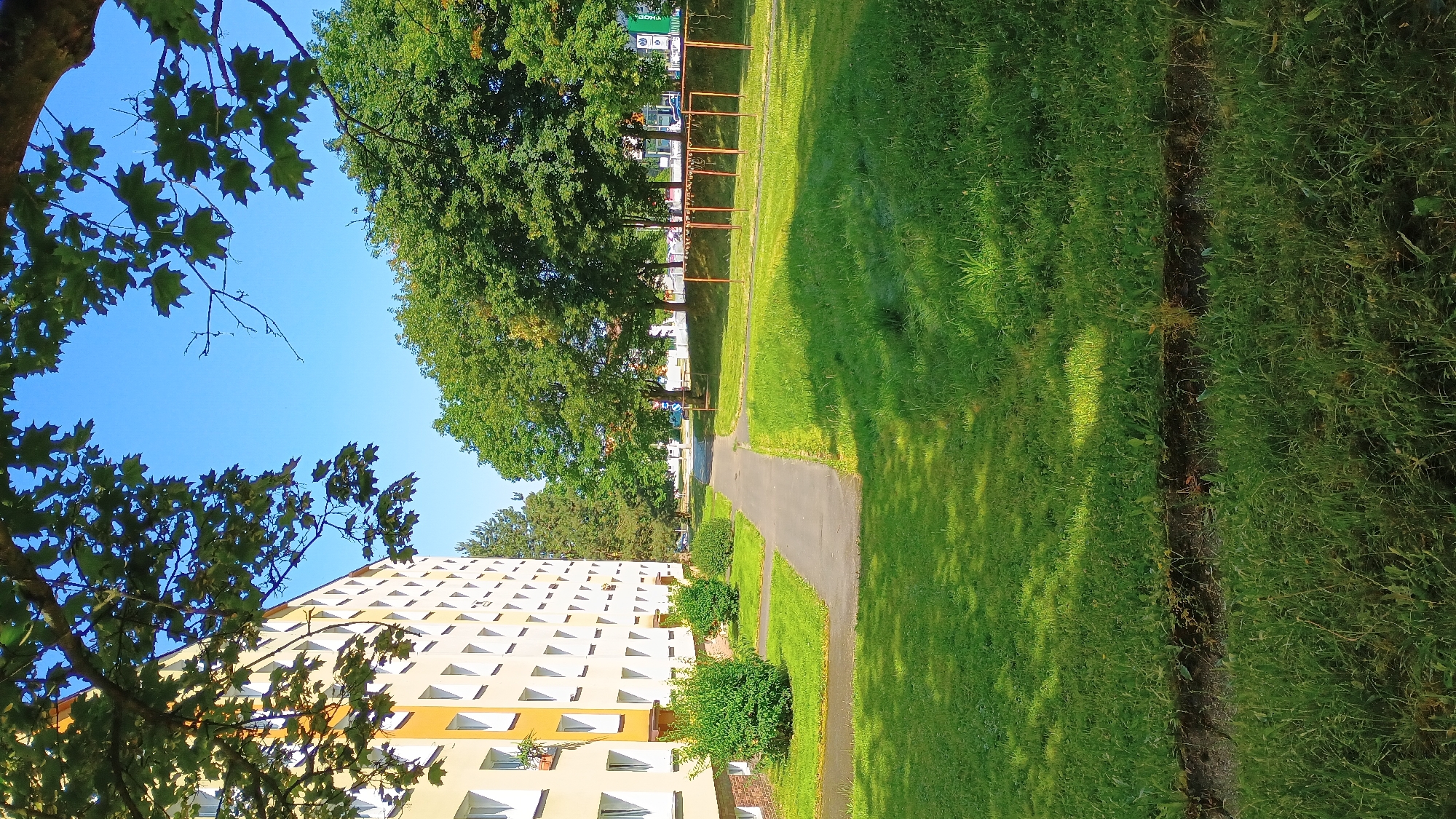 The image captures a sunny day in Sokolov, Czechia, showcasing a residential building and its surroundings. On the left, a multi-story apartment building with yellow and white facade is visible, featuring numerous rectangular windows. In front of the building, a paved walkway winds through a grassy area with several well-maintained bushes. Further into the scene, a row of trees with lush green foliage lines a slightly elevated embankment. Behind the trees, glimpses of other buildings and a street with parked cars can be seen. The foreground is dominated by a verdant lawn, with sunlight casting dappled shadows. A low, dark line runs across the bottom of the image, appearing to be a trench or a bed of darker soil within the grass. The sky is clear and blue.