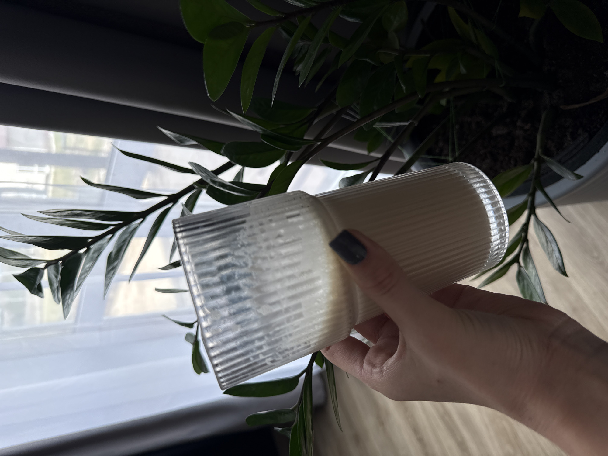A hand holds a ribbed glass filled with a beige liquid in front of a window and a ZZ plant in a domestic setting. The fingernails are painted gray. The location is specified as Лобаново, Russia.