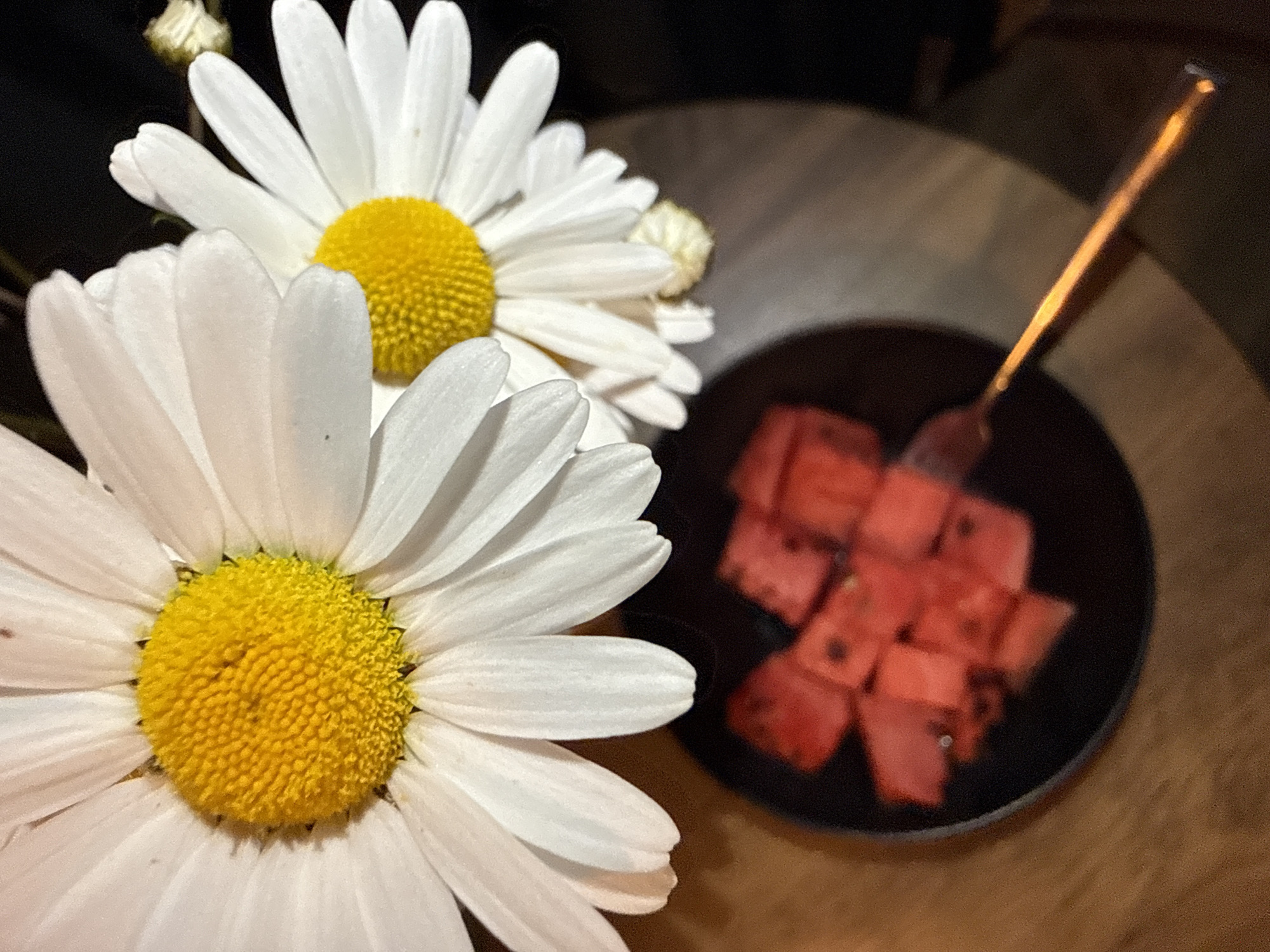 The image shows a close-up of two white daisies with yellow centers, positioned near a small black bowl of cubed watermelon. A golden fork is stuck into one of the watermelon cubes. The setting appears to be on a wooden table indoors. The location, Great Yarmouth, United Kingdom, is not evident from the image itself.