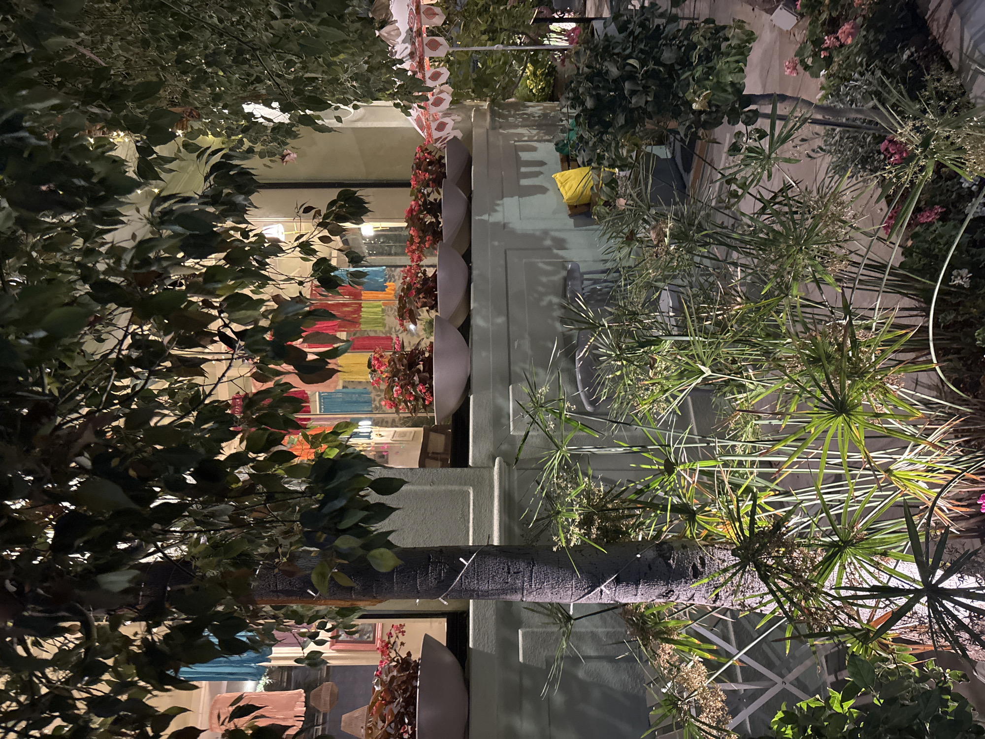 The image shows a nighttime scene in front of a building, possibly a shop or restaurant, in Amman, Jordan. In the foreground, there are various plants, including a tall tree trunk with string lights wrapped around it, and several spiky, umbrella-like plants. Behind the plants, a low wall or ledge is visible, with several long, light-colored planters filled with red flowers. Above the planters, a window or doorway reveals colorful fabric decorations hanging inside. To the right, a partially visible white umbrella with red patterns is set up. A bright yellow cushion is placed on a bench or seating area to the right of the wall. The overall ambiance is decorative and inviting, with artificial lighting illuminating the scene.