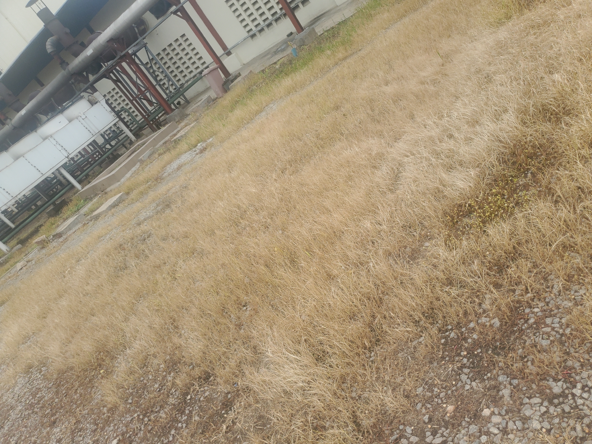The image depicts a dry, grassy area with scattered gravel in the foreground. In the background, a large industrial building with white siding, grey pipes, and red structural supports is visible. The building features rows of square vents along its side. The overall scene suggests an outdoor industrial or utility area, possibly in a location experiencing dry weather. The image was taken in Gwagwada, Nigeria.