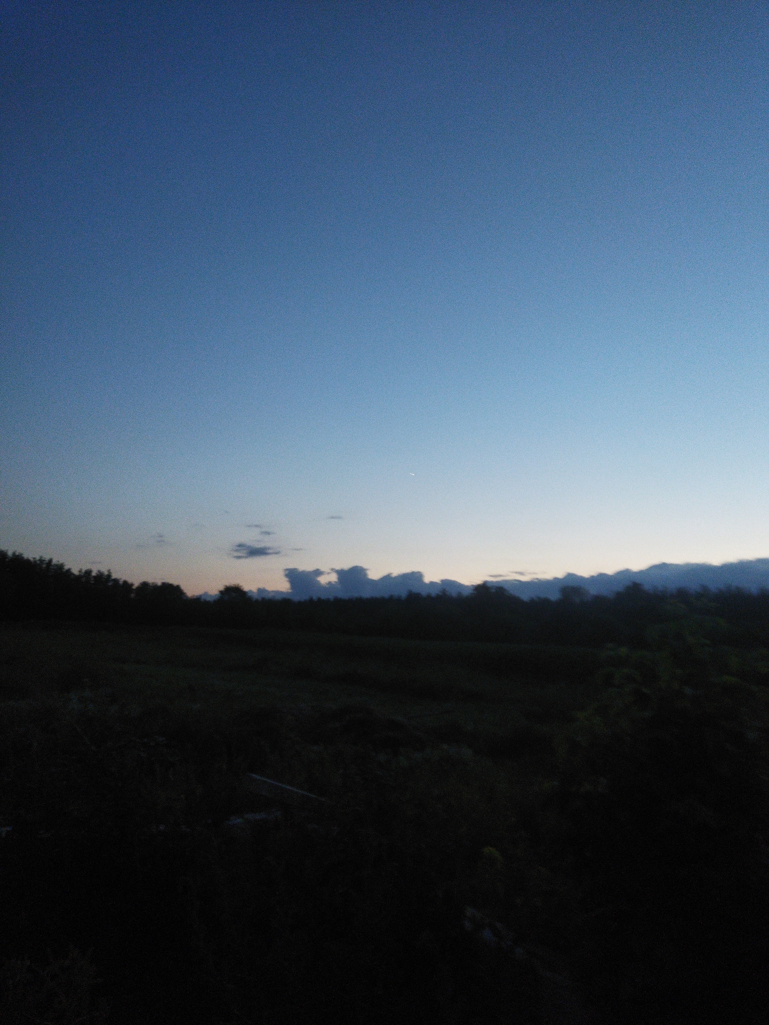 A wide shot captures a serene twilight landscape with a gradient of blue sky transitioning to darker hues near the horizon. A thin crescent of clouds is visible in the middle ground, silhouetted against the fading light. The foreground is dominated by a dark, silhouetted treeline, suggesting a wooded area or forest. The overall scene is peaceful and atmospheric, with the low light creating a sense of depth and tranquility. The image does not contain any visible people, objects, or discernible actions. It is a static, natural setting, possibly in Sosnivka, Ukraine, based on the provided context, evoking a sense of quiet evening.