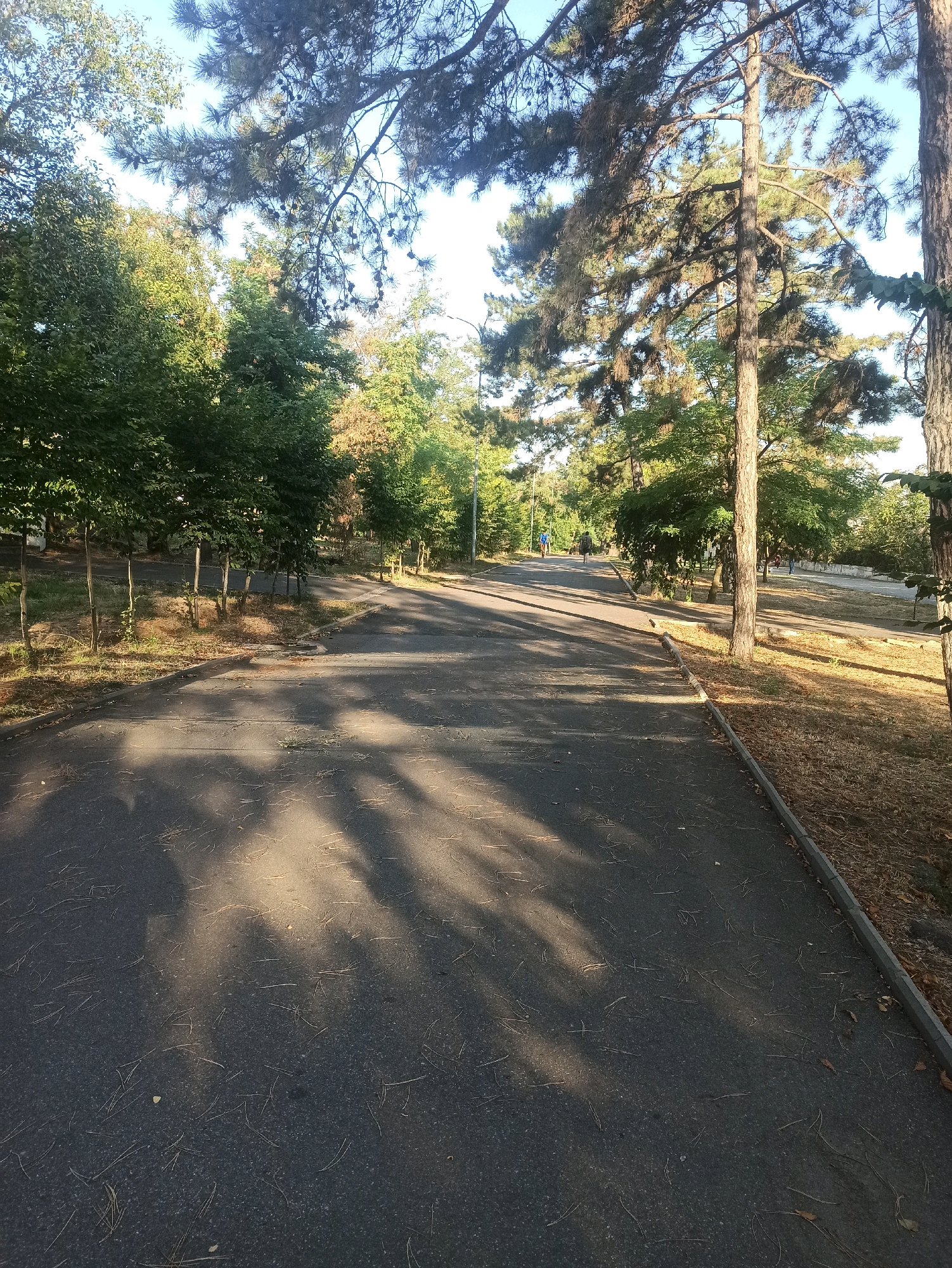 The image depicts a paved pathway winding through a park-like setting. Sunlight casts dappled shadows from overhead trees onto the asphalt surface. Several people are visible in the distance, appearing to be walking or cycling along the path. The surrounding area is densely populated with a variety of trees, some with full green foliage and others showing hints of autumnal color. The ground beside the path is covered with dry grass and fallen pine needles. The scene suggests a public park or recreational area within the city of Odesa, Ukraine.