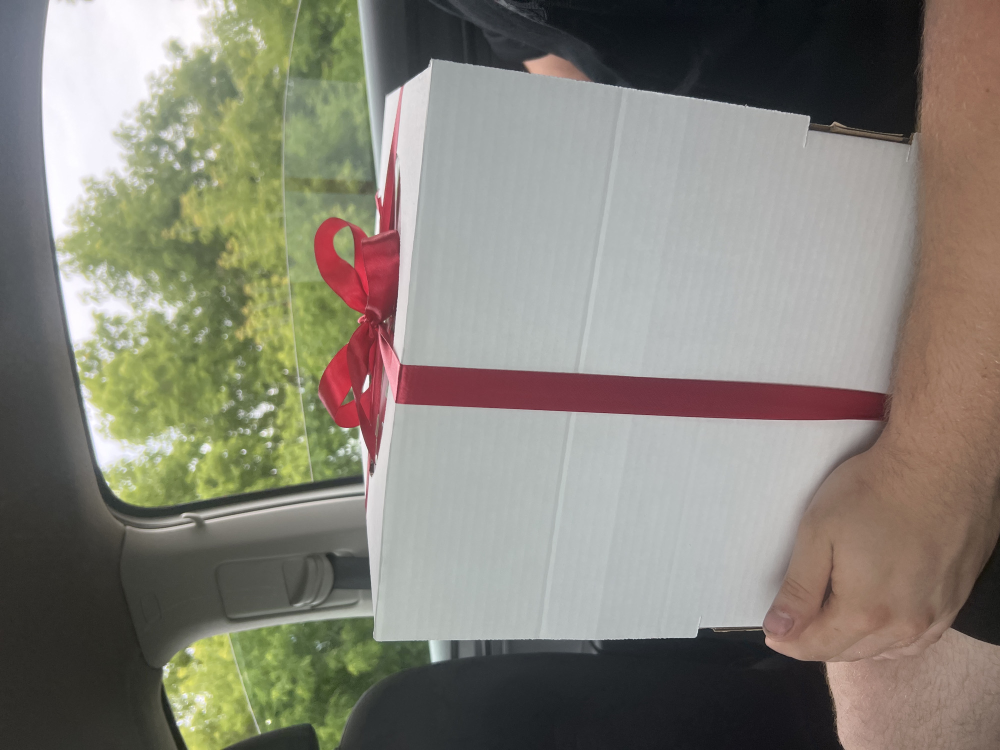 The image shows a white box with a red ribbon tied around it, held by a person inside a car. The box is large and appears to be a gift. The interior of the car is visible, including the headliner and a portion of the passenger seat. Outside the car window, lush green trees and foliage are visible, suggesting an outdoor setting, possibly a park or a residential area with trees. The sky is overcast. The person's hand is holding the box, and their leg is also visible. The scene does not provide any specific details that would allow for its location to be identified as Novoaltaysk, Russia.