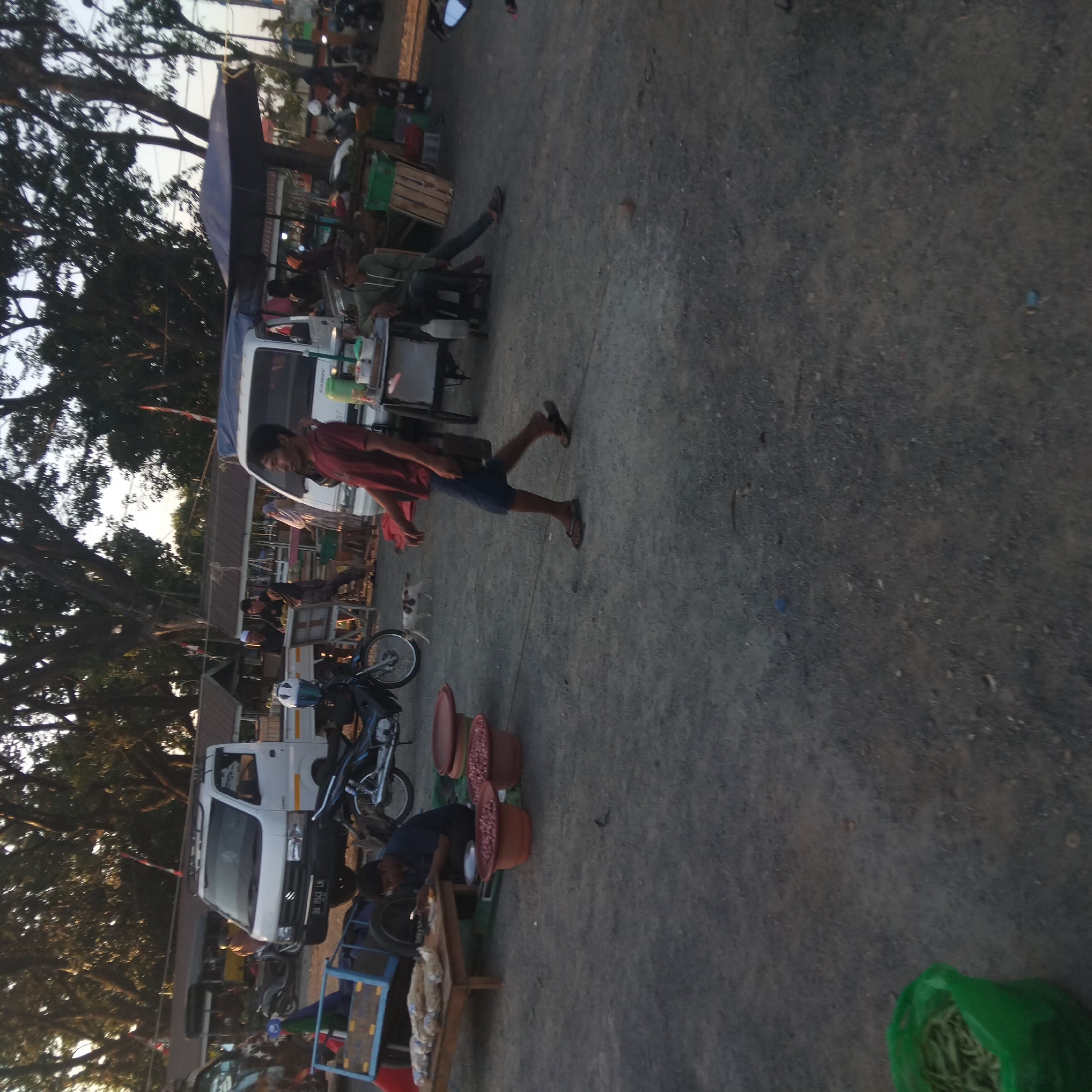 This image depicts an outdoor market scene in Pelaihari, Indonesia. In the foreground, a person in a red shirt and dark shorts walks past a small cart with food items. To the left, a person in a dark shirt sits at a low wooden table with sacks of produce, and two large red bowls filled with what appears to be nuts are placed on the ground. A small white and brown dog walks in the middle ground. Behind these elements, various market stalls are visible, including a white pickup truck with "CARRY" written on its side, a blue cart, and a blue umbrella providing shade over a stall. Several other people are seen at the stalls, some appearing to be vendors or customers. Motorcycles are parked in the background, and a variety of trees with dense foliage form the backdrop against a hazy sky, suggesting it may be late afternoon or early evening. The ground is covered with gravel and dirt.