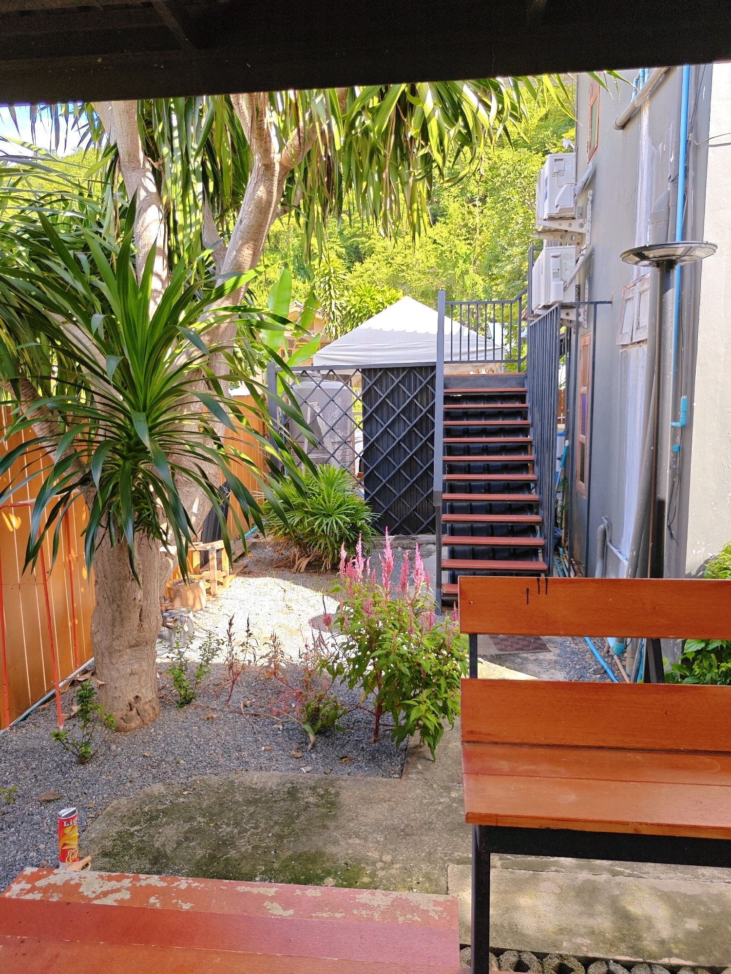 The image depicts an outdoor area in Khao Yai, Thailand, with a focus on a wooden bench in the foreground. The bench, constructed of light brown wooden planks and supported by black metal legs, is positioned centrally, facing towards the left of the frame. Behind the bench, a gravel-covered ground is visible, scattered with small stones and patches of concrete. To the left of the bench, a red and yellow soda can rests on the ground.
Further back, a large, rough-barked tree stands prominently, with its trunk partially obscured by dense green foliage. A vibrant pink flowering plant adds a splash of color to the scene, located to the right of the tree. Beyond the plants, a grey building with blue piping and air conditioning units attached to its exterior rises. A set of dark grey metal stairs with wooden treads leads up the side of the building. The top of the stairs is partially covered by a dark metal railing.
The background reveals lush green trees and vegetation, suggesting a natural or semi-natural environment. The sky is visible through the leaves, indicating a bright, possibly sunny day. The overall impression is one of a relaxed, outdoor space, possibly part of a resort or residential area in Khao Yai, known for its natural beauty and cooler climate.