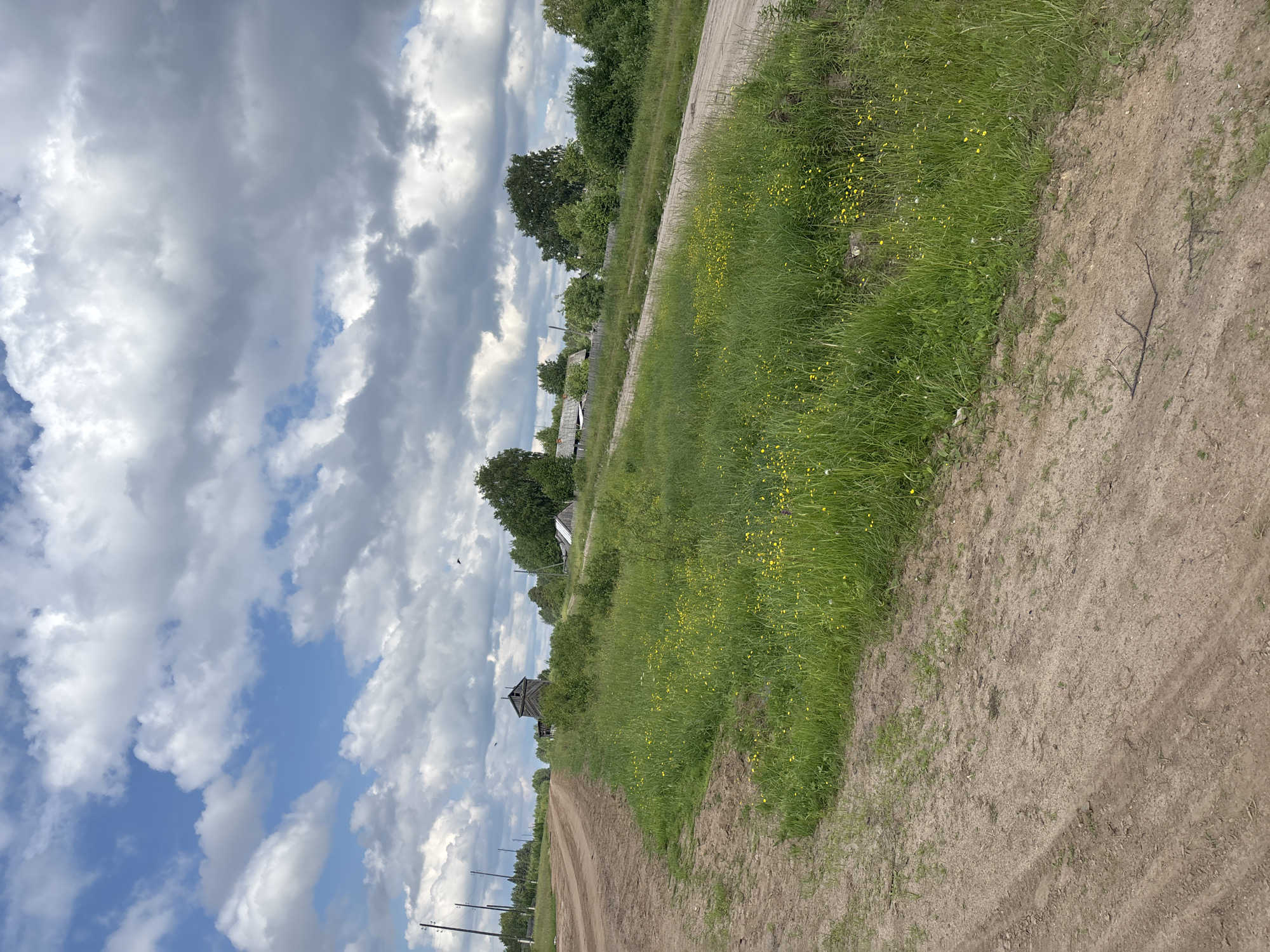An eye-level, medium shot captures a rural scene under a dramatic, cloudy sky. A dirt road curves from the left foreground into the mid-ground, dividing a field of tall green grass dotted with small yellow flowers. In the mid-ground, several wooden structures, including a prominent, weathered, multi-story building resembling a granary or mill, are visible amidst trees. Beyond these structures, a cluster of houses with dark roofs and wooden fences suggests a small village. Power lines with poles line the left side of the dirt road, extending into the distance. The overall impression is one of a remote, pastoral landscape in Russia, potentially the city of Kurgan, Russia, given the architectural style and vegetation.