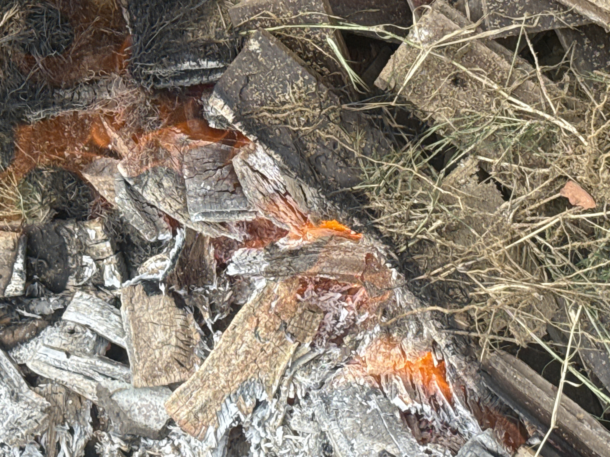 The image is a close-up, overhead shot of smoldering embers and burnt wood with dried grass. The scene appears to be outdoors, with various pieces of wood, some charred and blackened, others still showing signs of the original material. The embers glow with a bright orange hue, indicating active burning. Dried grass and twigs are interspersed among the wood. There are no people or animals visible in the image. The overall impression is one of a recently extinguished or still burning fire. The location is identified as the city of São Pedro Da Aldeia, Brazil, though no specific landmarks or context within the city are evident from the image itself.