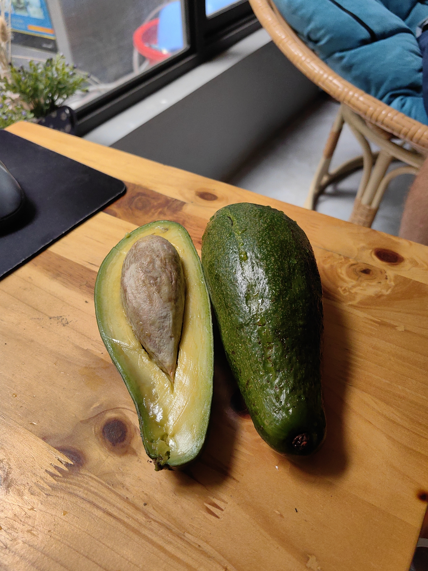 A halved avocado and its other half sit on a light-colored wooden table with a clear varnish. The avocado is ripe, with a creamy yellow-green flesh and a large, brown pit. The whole half shows a dark green, slightly bumpy skin covered with small droplets of water. A black mousepad is visible in the top left corner, and part of a woven rattan chair with a blue cushion is in the top right background. A plant in a dark pot sits on the table near a window. The location is likely a home or café in a modern environment, but not confirmed as Hà Nội, Vietnam. No people are visible.