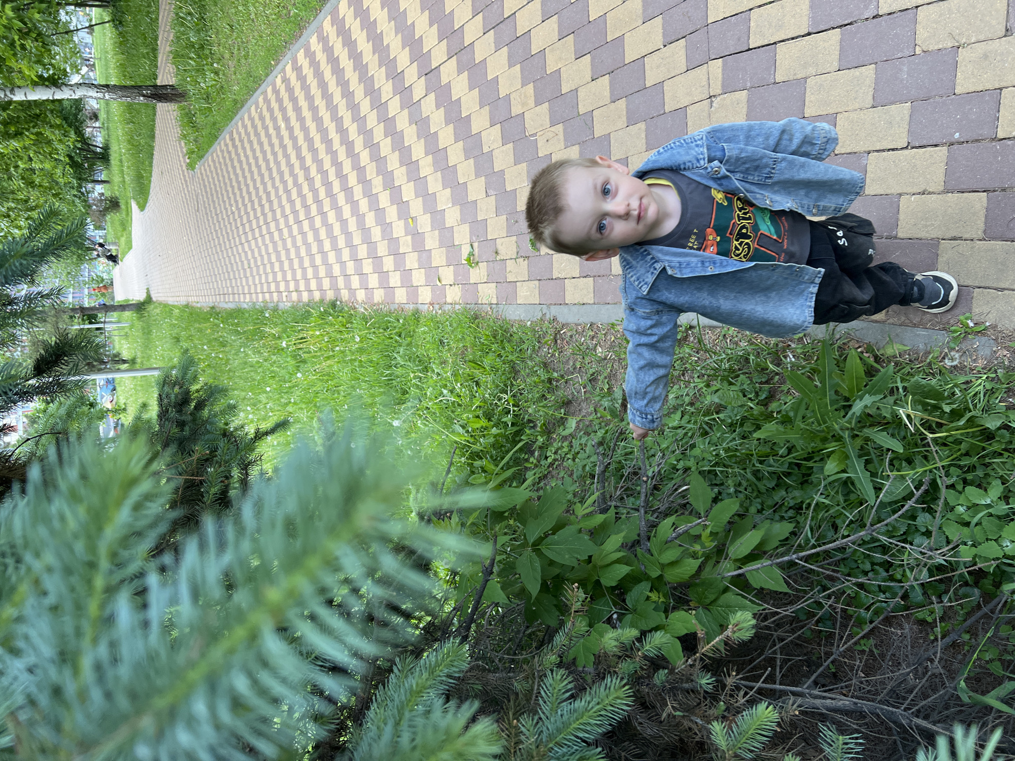 A young boy stands on a brick and cobblestone path in Mytishchi, Russia. He is wearing a light blue denim jacket over a dark t-shirt, black pants, and dark shoes with white accents. He gazes upward with a slight, inquisitive expression. To his left is a green space with grass and small shrubs. A fir tree is prominently positioned in the foreground. The path leads into the distance between the green space on the left and the brick and cobblestone on the right. Trees line the path in the background.