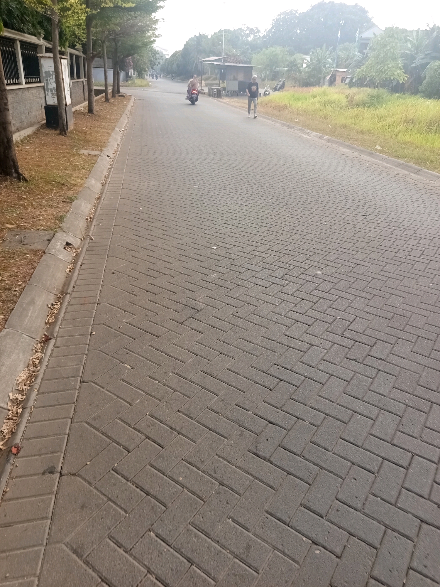 The image shows a paved road with a herringbone pattern of grey interlocking concrete pavers. To the left of the road is a sidewalk, a grey concrete curb, and dry grass with fallen leaves. Beyond the grass, there are trees and a stone wall with black wrought iron fencing. Further down the road, a person is walking, and a motorcycle with a rider is seen in the distance. On the right side of the road, there is a grassy area with some trees and small structures, suggesting a suburban or semi-rural environment. The overall scene appears to be a residential street in West Jakarta, Indonesia, possibly during a dry season, given the appearance of the grass and fallen leaves.