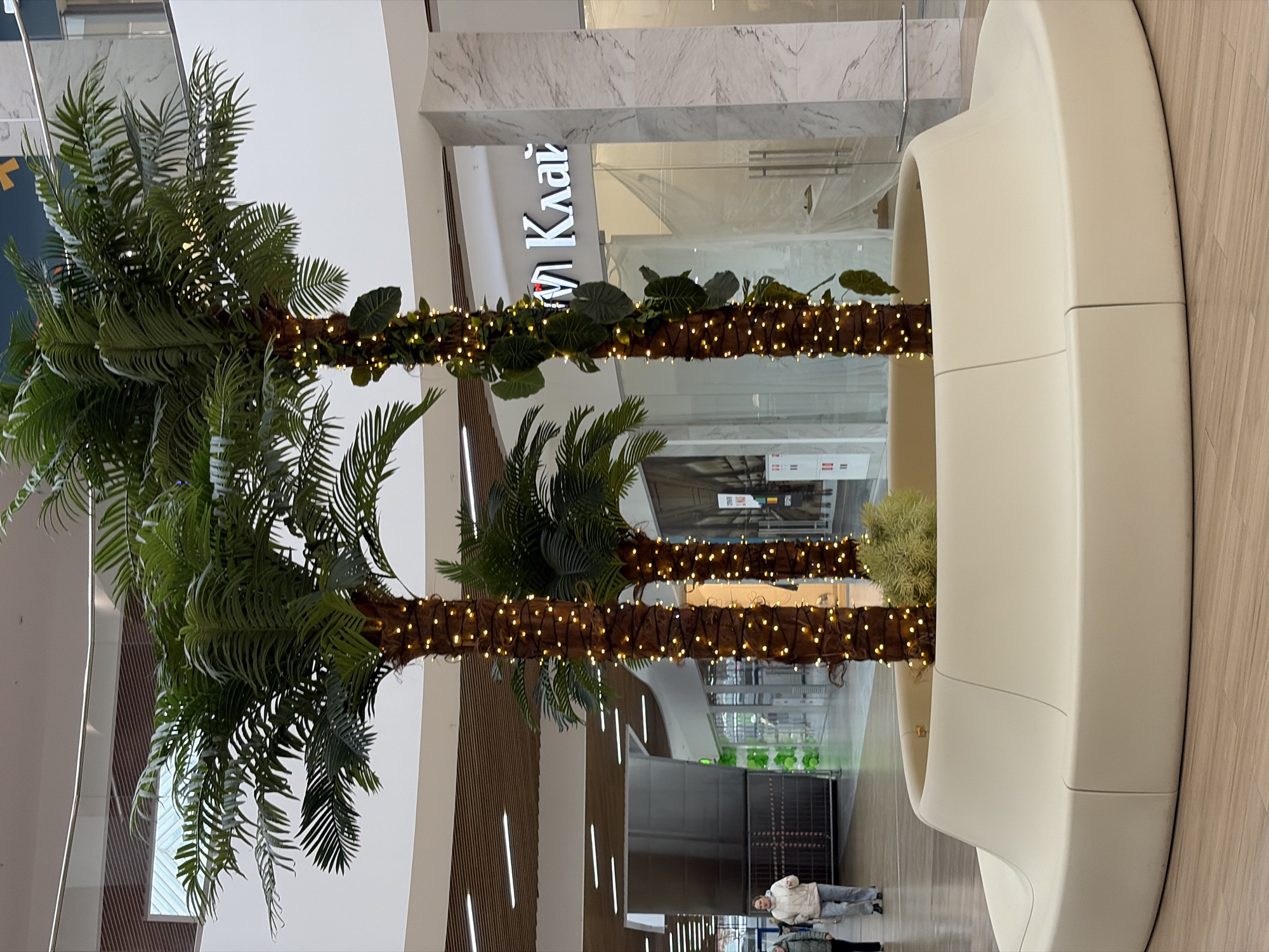 The image shows an interior setting, likely a shopping mall or commercial space, located in Izhevsk, Russia. The scene is dominated by two artificial palm trees adorned with decorative string lights, creating a tropical ambiance within the building. The trunks of the trees are wrapped with brown material, possibly bark or fabric, and have a string of leaves, while the fronds are lush and green, typical of palm trees.
A large, curved, beige-colored structure, possibly a seating area or architectural feature, is prominent on the right side of the image. In the background, a storefront is visible with the name "Klais" in large, white Cyrillic letters on the sign.
The floor is made of light-colored wooden panels.
Two individuals are seen in the distance. They are likely pedestrians walking through the mall.
The overall lighting is bright, suggesting it's daytime or the area is well-lit by artificial lights. The scene is well-maintained, with an emphasis on creating an aesthetic appeal.