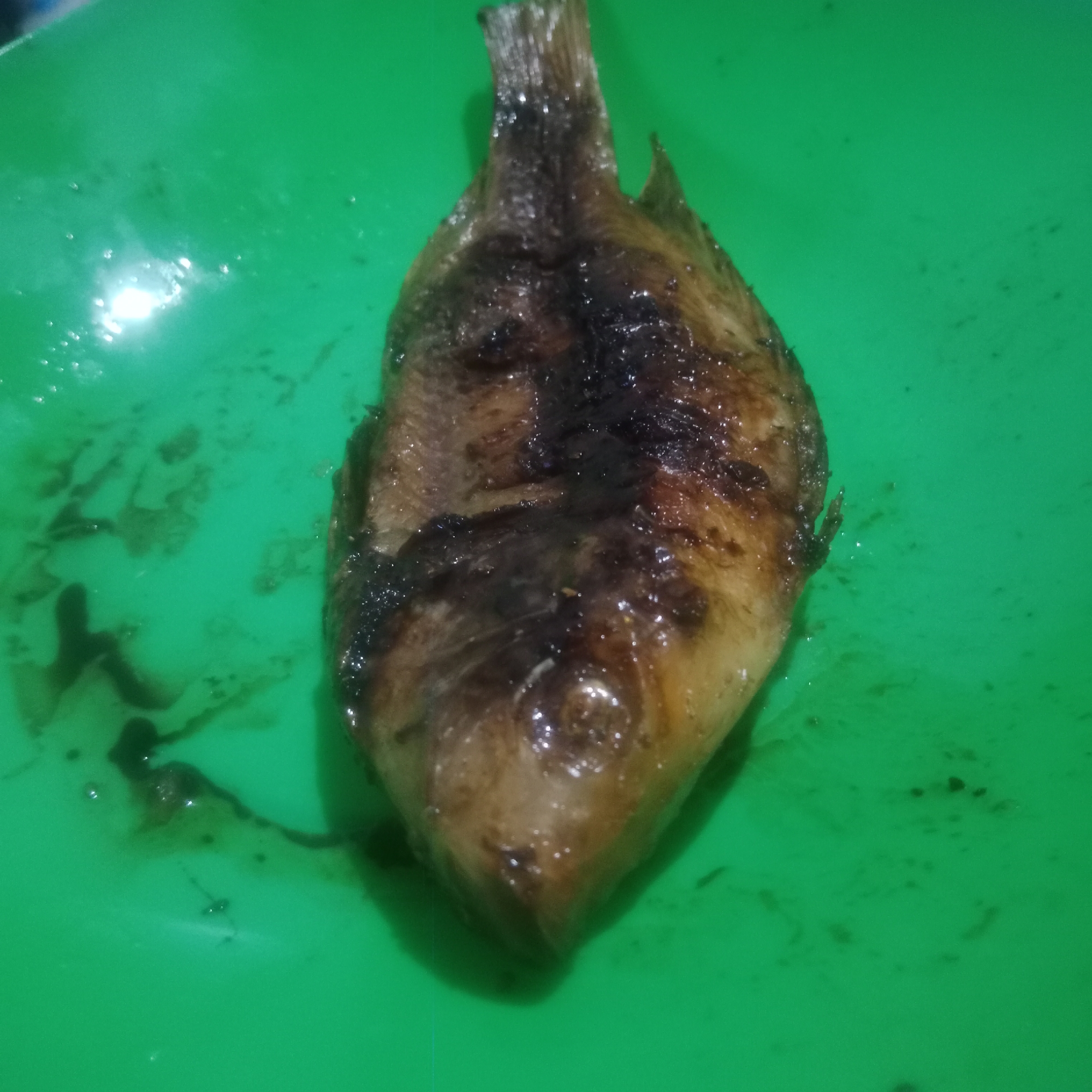 A whole grilled fish is displayed in a green bowl. The fish is cooked to a dark brown color with some parts appearing charred. The skin of the fish is visible, and it has a slightly shiny appearance, suggesting it may have been brushed with oil or sauce. The fish is positioned diagonally in the bowl, with its head pointing towards the top left and its tail towards the bottom right. The green bowl is slightly wet, with some dark liquid and small particles scattered at the bottom and around the fish. The background is the green surface of the bowl. The image appears to be taken in a domestic setting, possibly a kitchen or dining area, in Tegowanu Kulon, Indonesia.