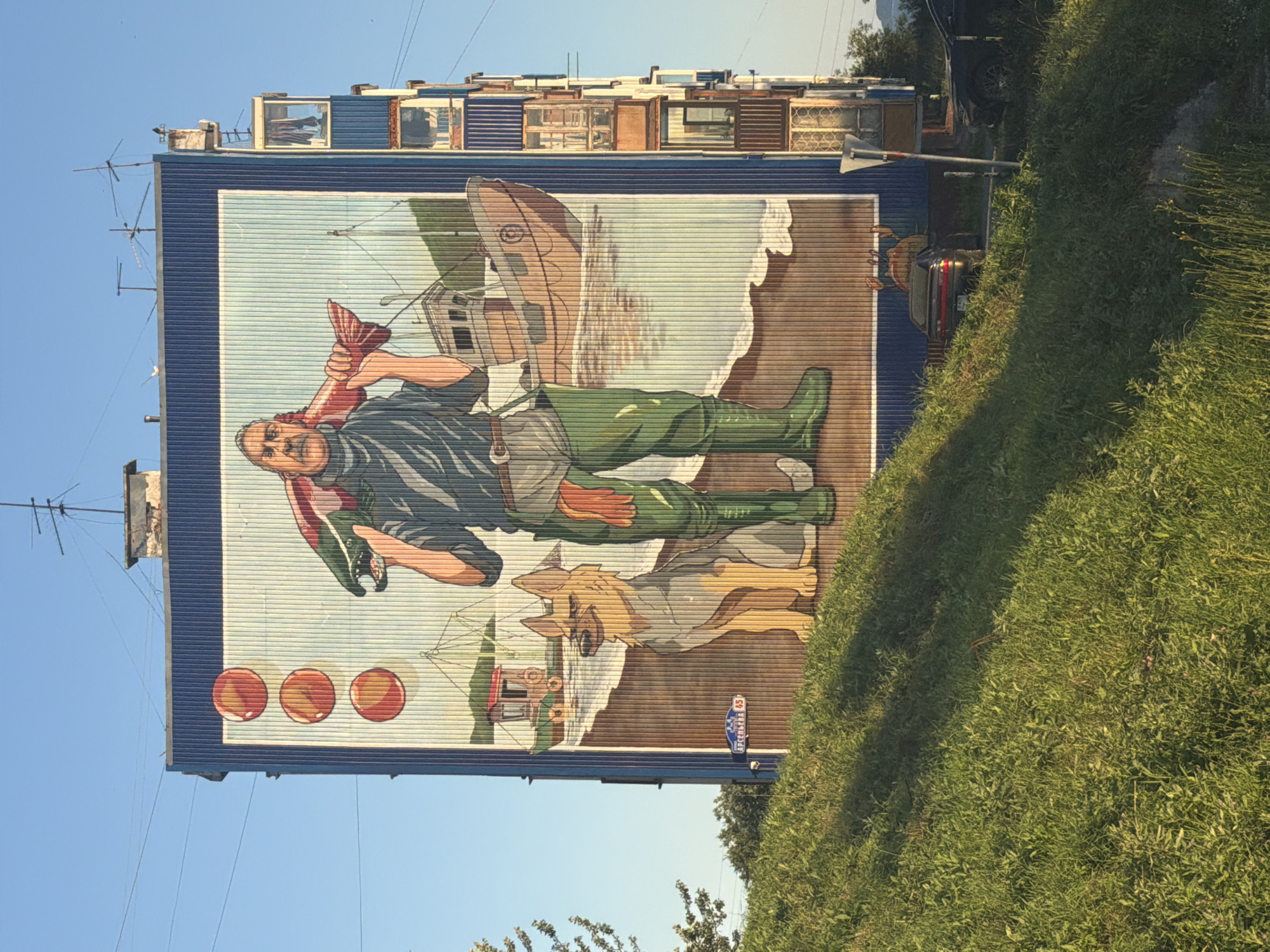 This image depicts a large mural on the side of a blue, corrugated metal building in Petropavlovsk-Kamchatsky, Russia. The mural features a fisherman holding a large salmon over his shoulder, with a German Shepherd dog sitting beside him. In the background, a fishing boat is depicted on the water. The building itself is a multi-story apartment complex with numerous balconies. The mural is painted with bright colors and a somewhat stylized artistic approach. A street sign indicating "АРСЕНЬЕВА 65" (Arsenyeva 65) is visible on the wall below the mural, indicating the street name and building number. The scene is set against a clear blue sky and a grassy hillside in the foreground. A couple of parked cars are visible at the base of the building.
