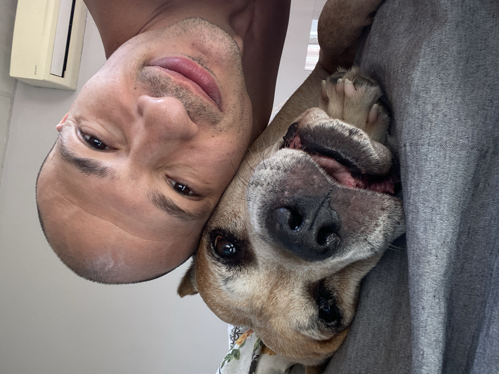A close-up, high-angle selfie shows a bald man with his head resting on the head of a light brown dog. The man is looking into the camera with his eyes open and a slight smile on his lips. The dog is resting its head on a grey surface, possibly a bed or couch, and appears to be asleep or very relaxed. The dog's mouth is slightly open, revealing its tongue and some teeth. In the background, a white air conditioning unit is mounted on a white wall. The image is taken indoors in what appears to be a bedroom or living area. There is no identifiable information indicating the location in the city of Pleven, Bulgaria.