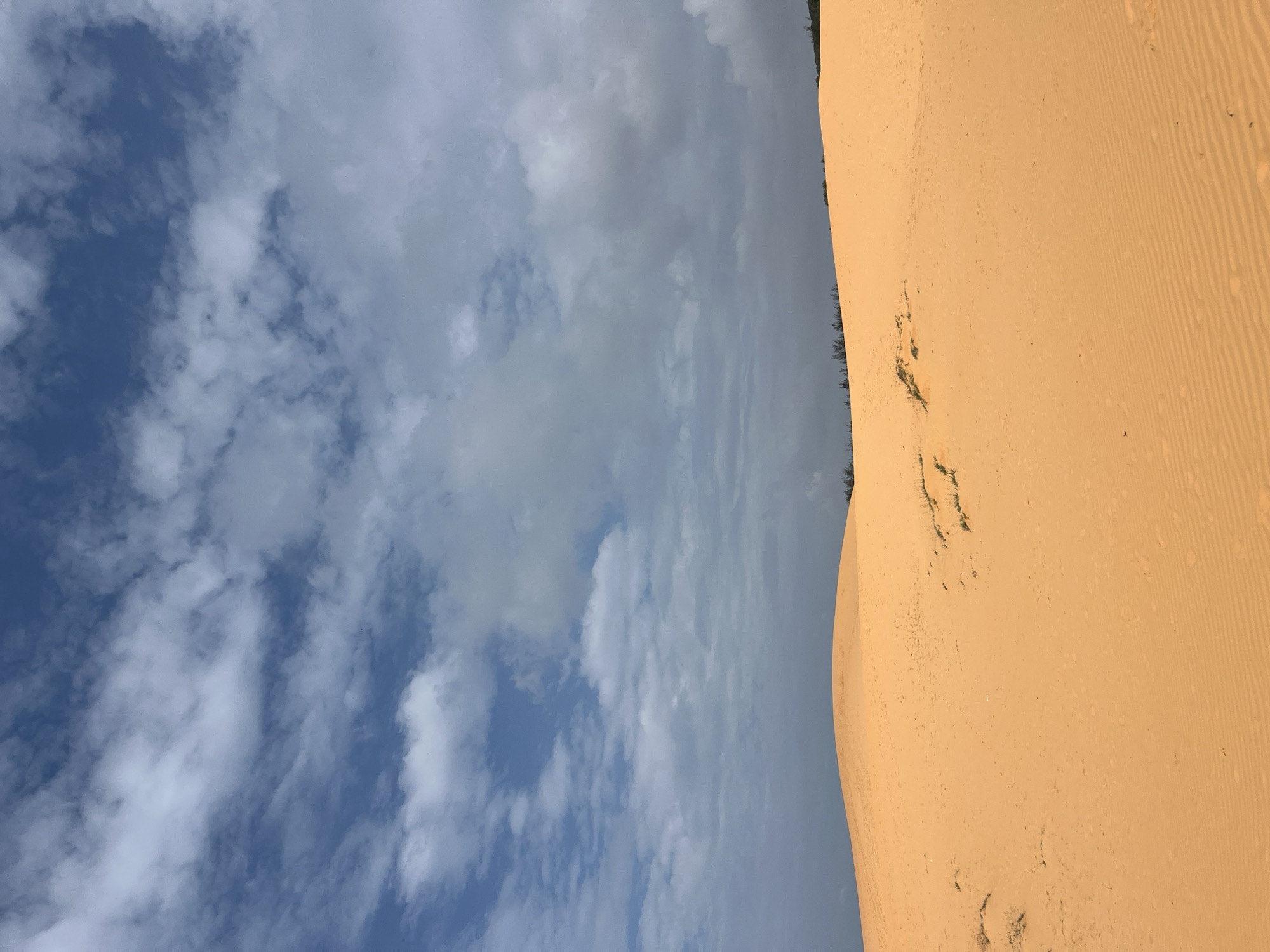 The image depicts a wide expanse of orange sand dunes under a partly cloudy blue sky. The dunes are smooth with visible ripple patterns in the foreground, suggesting wind action. Sparse patches of dry grass and small shrubs are scattered across the sand. In the distance, a line of trees marks the horizon. The scene is an outdoor landscape with no people or structures visible. This is characteristic of the sand dunes in Mui Ne, Vietnam, a popular tourist destination known for its desert-like scenery.