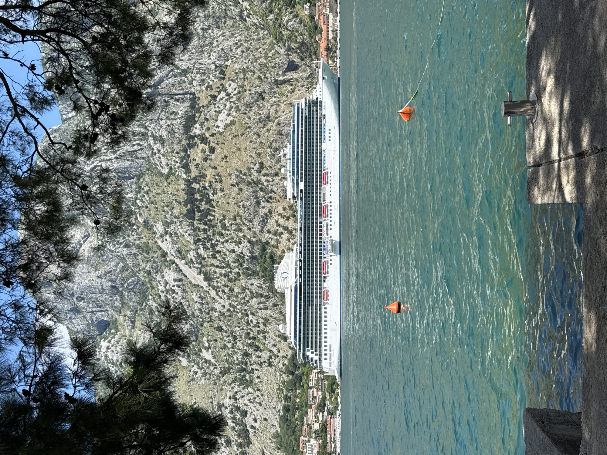 In Škaljari, Montenegro, a large white cruise ship, identified as the "ALLURA," is anchored in turquoise water under a clear blue sky. The ship, with multiple decks and rows of windows, is positioned in the middle ground of the frame. In the foreground, a concrete dock with a metal bollard is visible, with a portion of a granite structure to the left. Two orange buoys float in the water; one is closer to the ship and the other is further out. Behind the ship, a hillside covered in sparse greenery and rocky formations rises steeply. The upper part of the frame is partially obscured by dark green pine branches, some bearing cones. Buildings with red-tiled roofs are clustered along the base of the hillside, to the left of the ship. The scene depicts a sunny day with a calm sea, emphasizing the grandeur of the cruise ship against the natural backdrop of the mountainside.