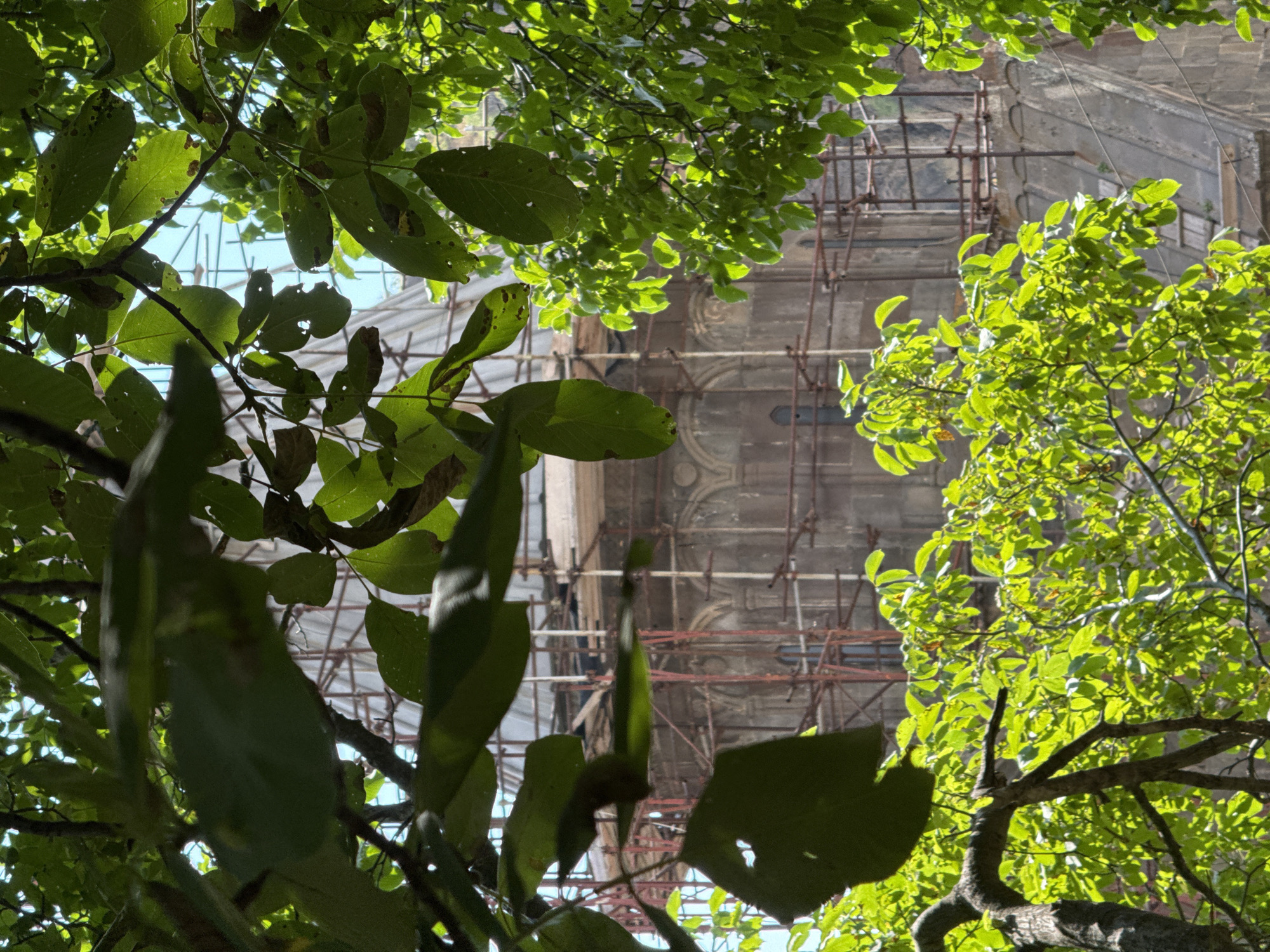 This photograph, taken in the city of Goght, Armenia, offers a view of a large, domed building undergoing construction or renovation. The building, which appears to be a church or religious structure, is partially obscured by the lush, green foliage of nearby trees. Scaffolding is erected around the structure, indicating ongoing work. The building itself is constructed of stone with arched windows and ornate architectural details. Sunlight filters through the leaves, creating dappled light and shadow across the scene. The sky is visible in the background, suggesting an outdoor setting. There are no people visible in the frame.
