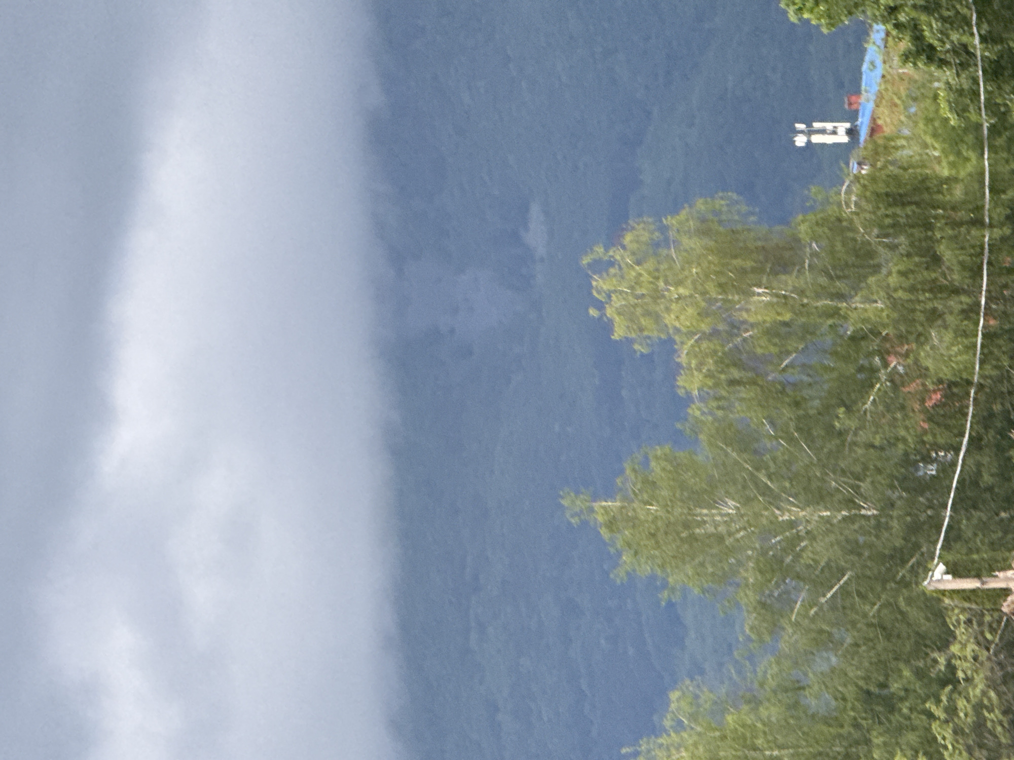 The image depicts a mountain scene with the lower right portion obscured by tree branches. In the background, a mountain range fades into a blue-gray haze. A patch of dense, grey clouds dominates the left side of the image, possibly indicating an approaching storm. Higher up on the mountain to the right, a small structure is visible along with some vertical posts. There are no visible people, actions, or interactions.
Based on the landscape, and the description provided in the prompt, it is likely that this image was taken in the vicinity of Sofia, Bulgaria, given the presence of mountains and the typical environment of the region.