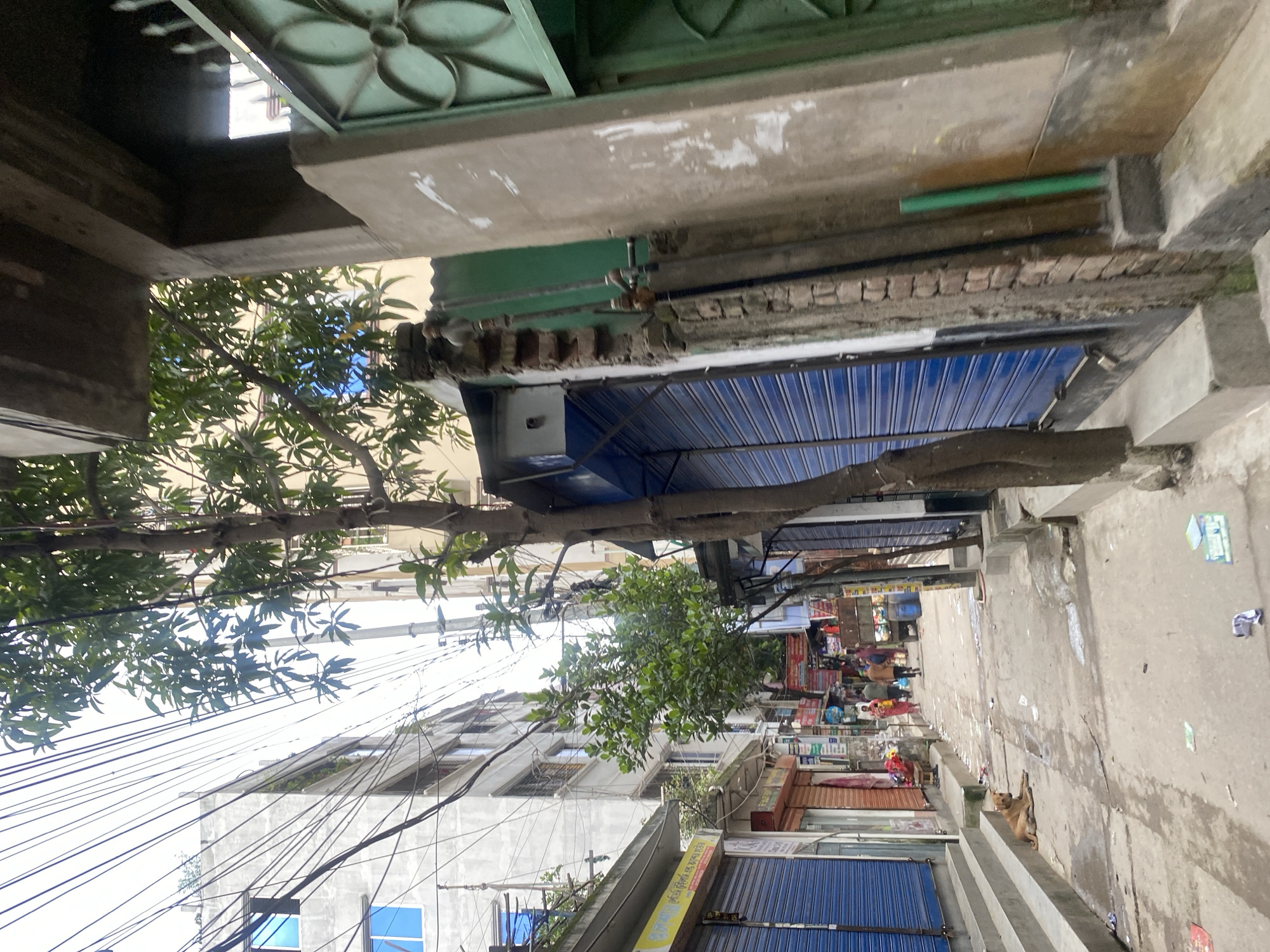 The image depicts a narrow street in Dhaka, Bangladesh, with buildings lining both sides. A tree grows in the middle of the street, its branches laden with green leaves. The buildings are a mix of residential and commercial, with shops on the ground floor and apartments above. The shops are mostly closed, with their shutters down. There are a few people walking in the street, and a dog is lying on the ground. The street is paved with concrete and there is some trash scattered on the ground. Overhead, a tangled mess of electrical wires crisscrosses the sky. The overall impression is one of a busy, bustling city street, with a sense of everyday life unfolding.