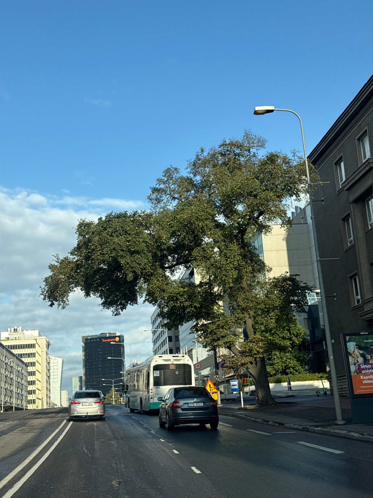 The image shows a street scene in Tallinn, Estonia. A large tree with full green foliage dominates the foreground on the right side of the road. Behind the tree, a modern building with a dark facade and a Swedbank sign is visible. To the left of the tree, a bus is driving down the road, and a silver car is in front of it. Further to the left, several tall office buildings are present. The sky is blue with some scattered clouds. The road is asphalt and appears to be a multi-lane street with white lane markings. A street lamp is present on the right side of the road, near the edge of the sidewalk. The scene appears to be captured from a moving vehicle.