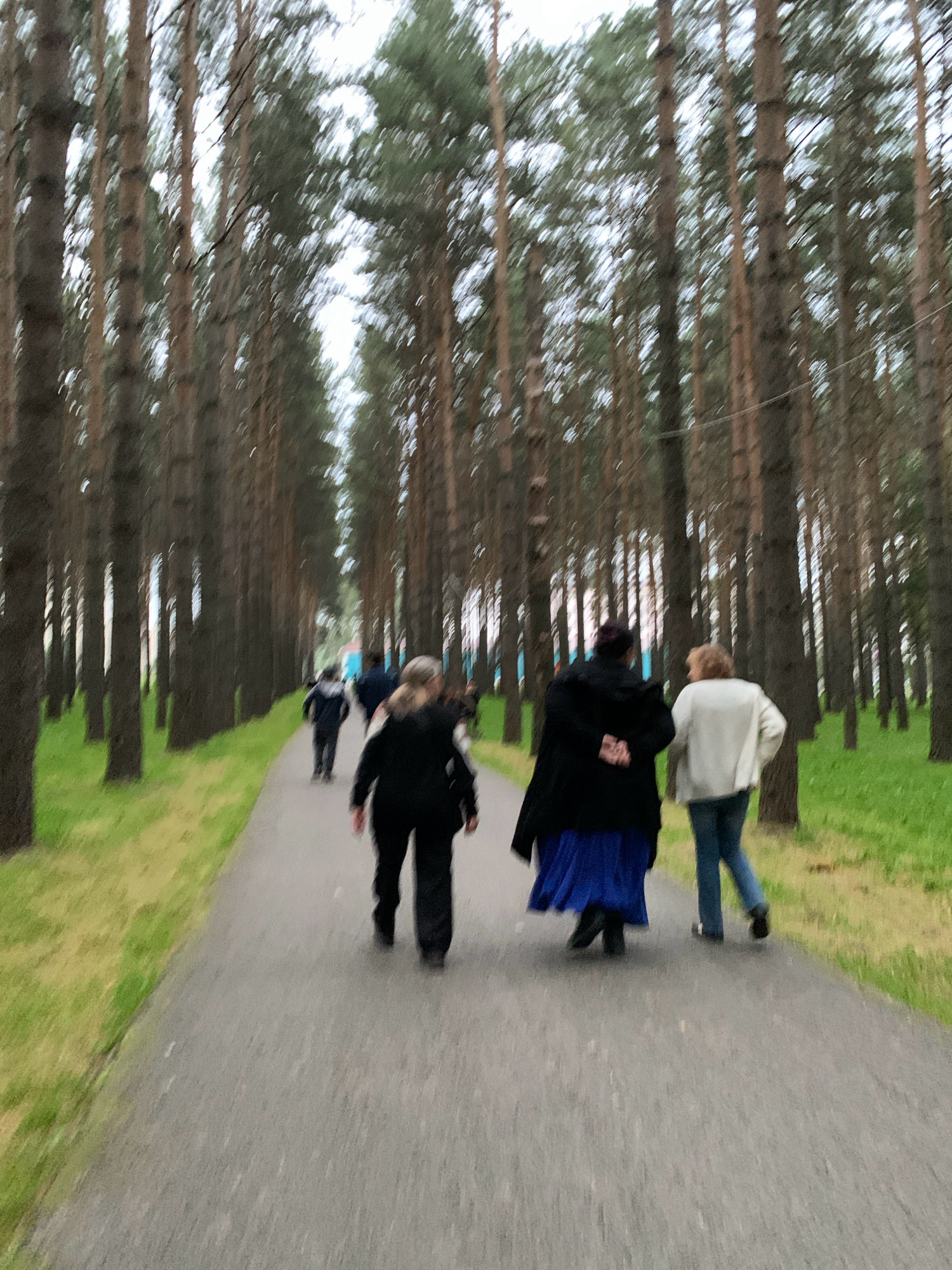 The image depicts a group of people walking on a paved path lined with tall pine trees. The path appears to be in a park or a wooded area, with green grass on either side. The trees are closely spaced, creating a tunnel-like effect along the path. The people are walking away from the camera, their figures blurred due to motion. The sky is overcast, suggesting a cloudy day. This scene is characteristic of the pine forests found in and around Prokopyevsk, Russia, which are known for their extensive wooded areas and recreational paths. The overall impression is one of a casual stroll in a natural setting.