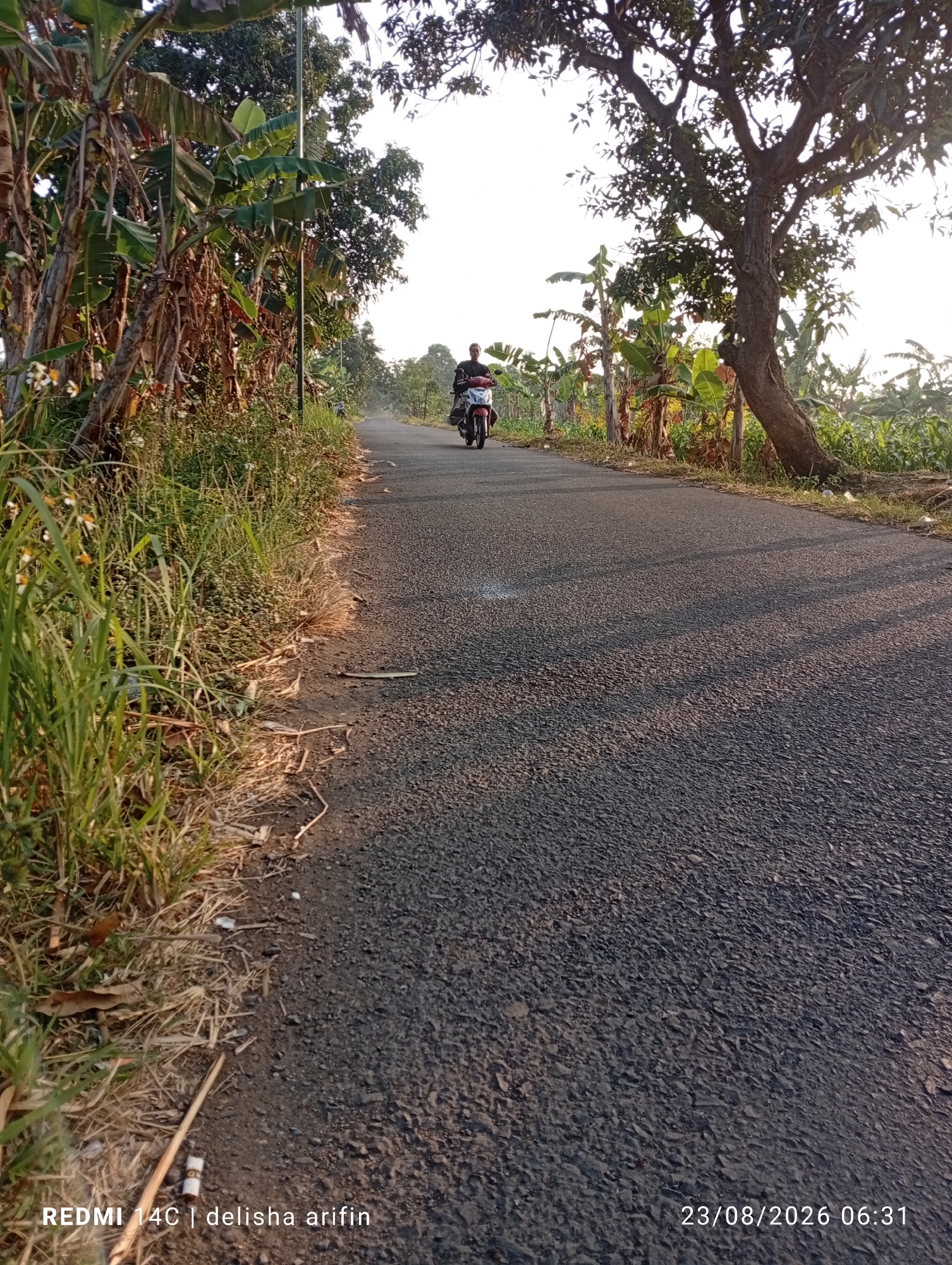A person rides a motorcycle on a paved road in Jati Gunting, Indonesia. The road is lined with lush vegetation, including banana trees and tall grass, suggesting a rural or semi-rural setting. Tall trees with dense foliage cast long shadows across the asphalt, indicating that the sun is low in the sky, likely in the morning or late afternoon. The sky is bright and appears clear. The date and time stamp "23/08/2026 06:31" is visible in the lower right corner, suggesting the image was taken on August 23, 2026, at 6:31 AM. The bottom left corner displays "REDMI 14C | delisha arifin," identifying the phone model and potentially the photographer.