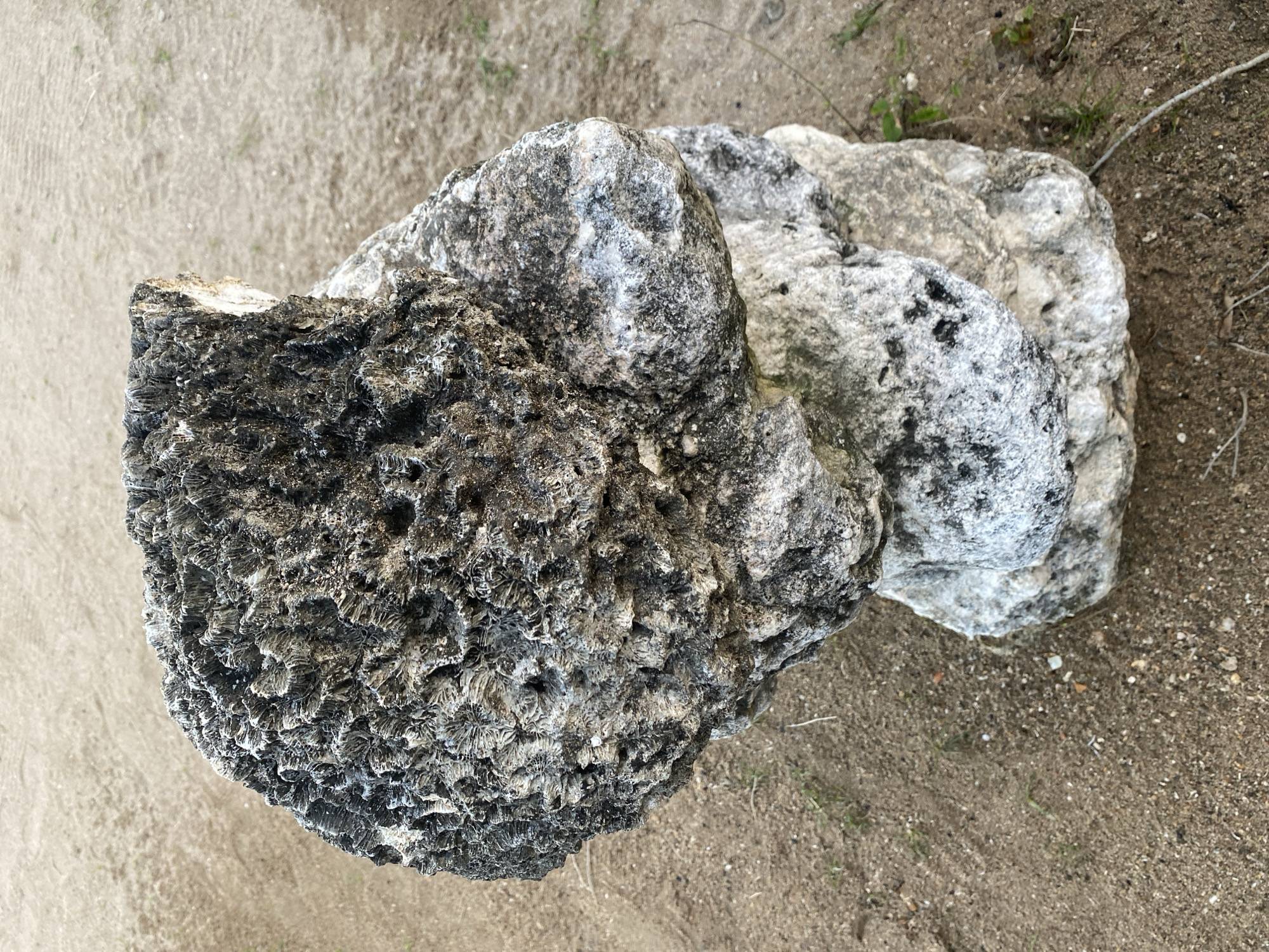 A stacked formation of rough, porous rocks sits on sandy ground in Denpasar, Indonesia. The largest rock, at the top, is dark gray and textured with numerous small cavities and ridges, appearing to be fossilized coral. It rests on a lighter gray, smoother rock, which in turn sits on a pale gray, rounded rock at the base. The ground is composed of light brown sand with scattered small pebbles and a few blades of dry grass. The background shows more of the sandy terrain with faint tracks or imprints, suggesting a natural or semi-natural outdoor setting. There are no people or any discernible activity in the image.