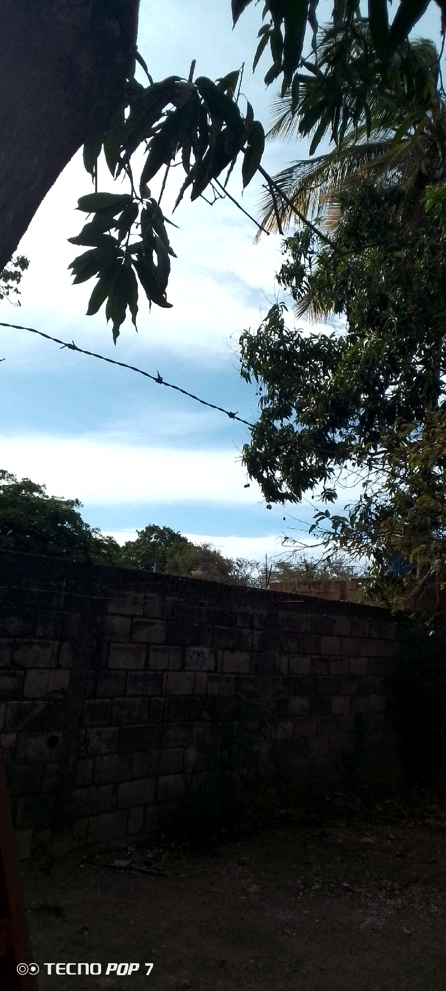 The image depicts a scene in Altagracia, Venezuela. A brick wall runs horizontally across the lower-mid ground of the frame. Behind the wall, vegetation and trees are visible, with a partly cloudy sky above. Tree branches with leaves are present in the upper part of the image, framing the scene. A barbed wire is horizontally aligned above the wall. The ground in front of the wall is visible with debris. The photo was taken with a Tecno Pop 7 phone.