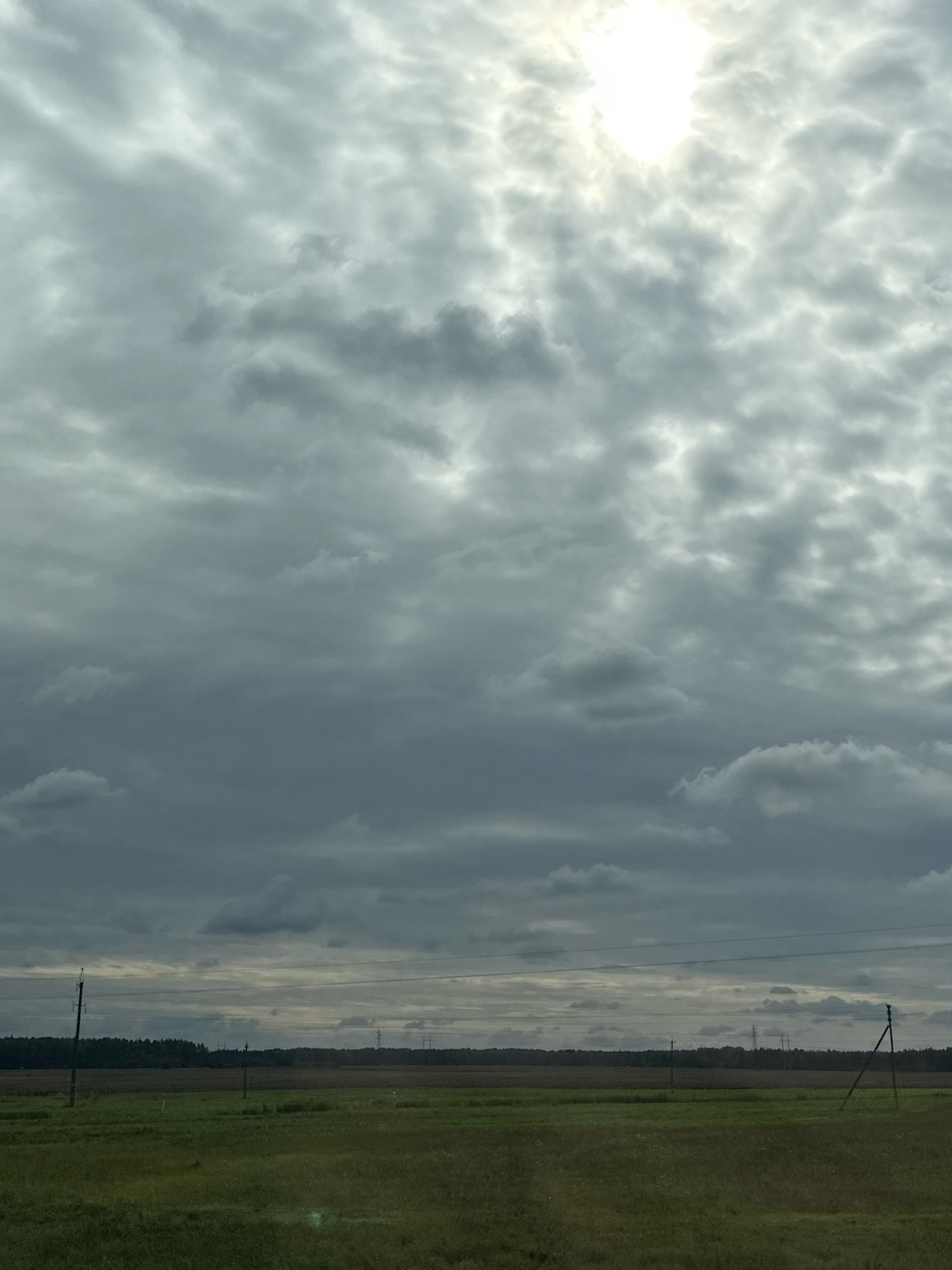 This is a medium-shot, eye-level, vertical photograph of a cloudy sky above a rural landscape. The sky is filled with dense, grey clouds, with a bright patch of sunlight visible near the top center. Below the sky, a flat, green field stretches across the horizon, dotted with sparse vegetation. A dark line of trees forms a backdrop along the far edge of the field. In the foreground, two utility poles are visible, one on the left and another on the right. The image appears to have been taken in the Сычкаўскі сельскі Савет, Belarus, judging by the context of the request. There are no people or discernible actions in the image.